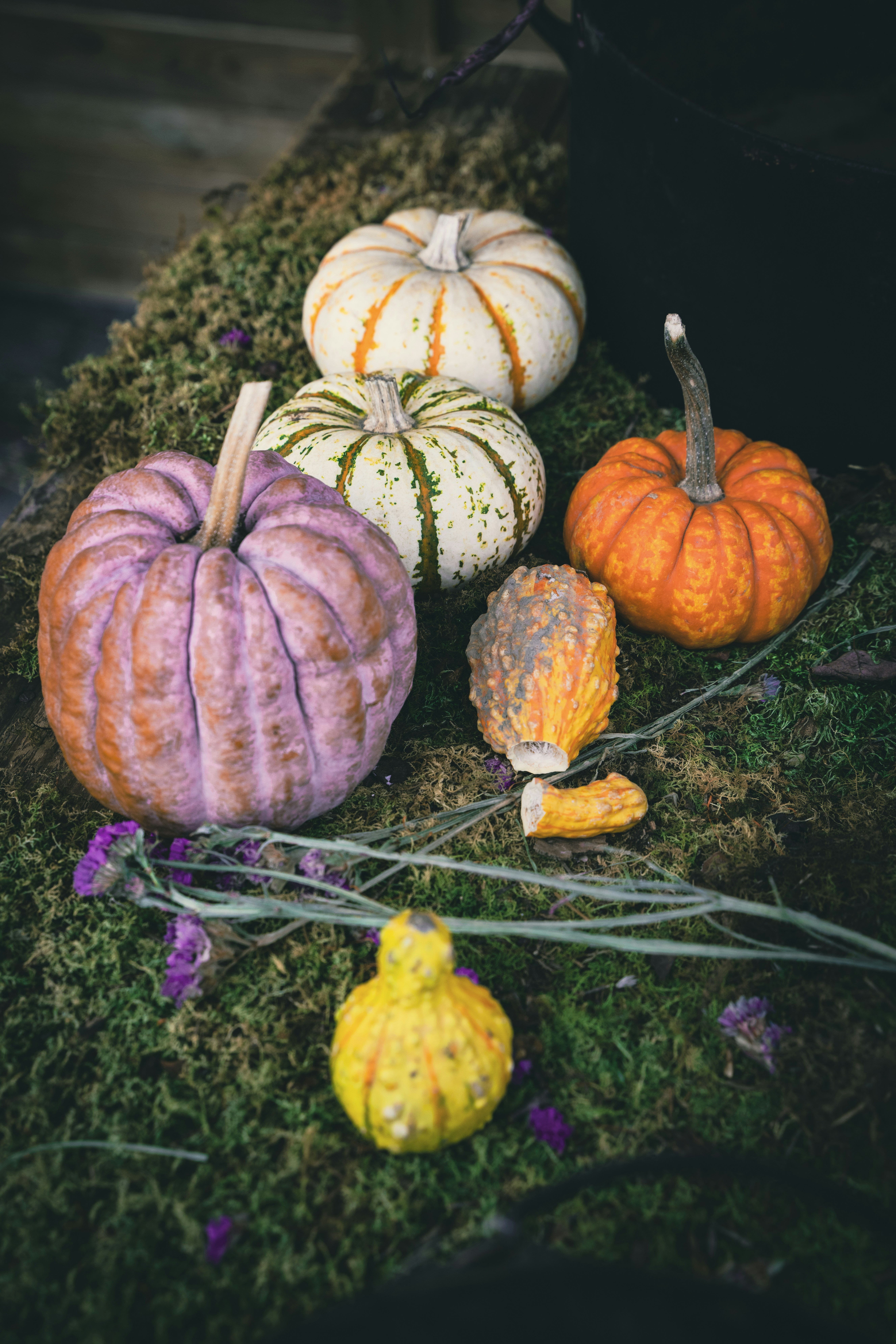 Photo by superxcalvin