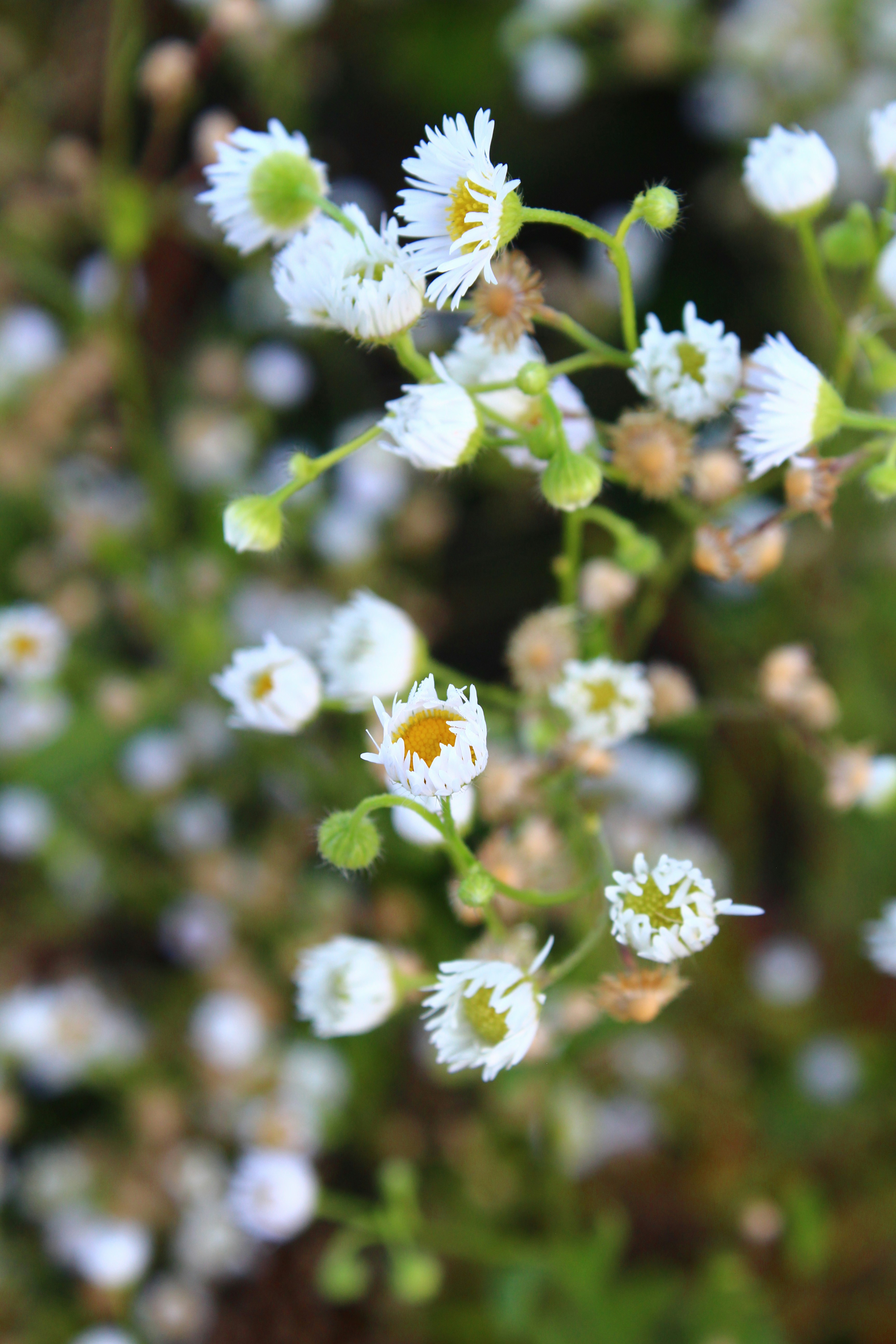 Photo by alys_skowron