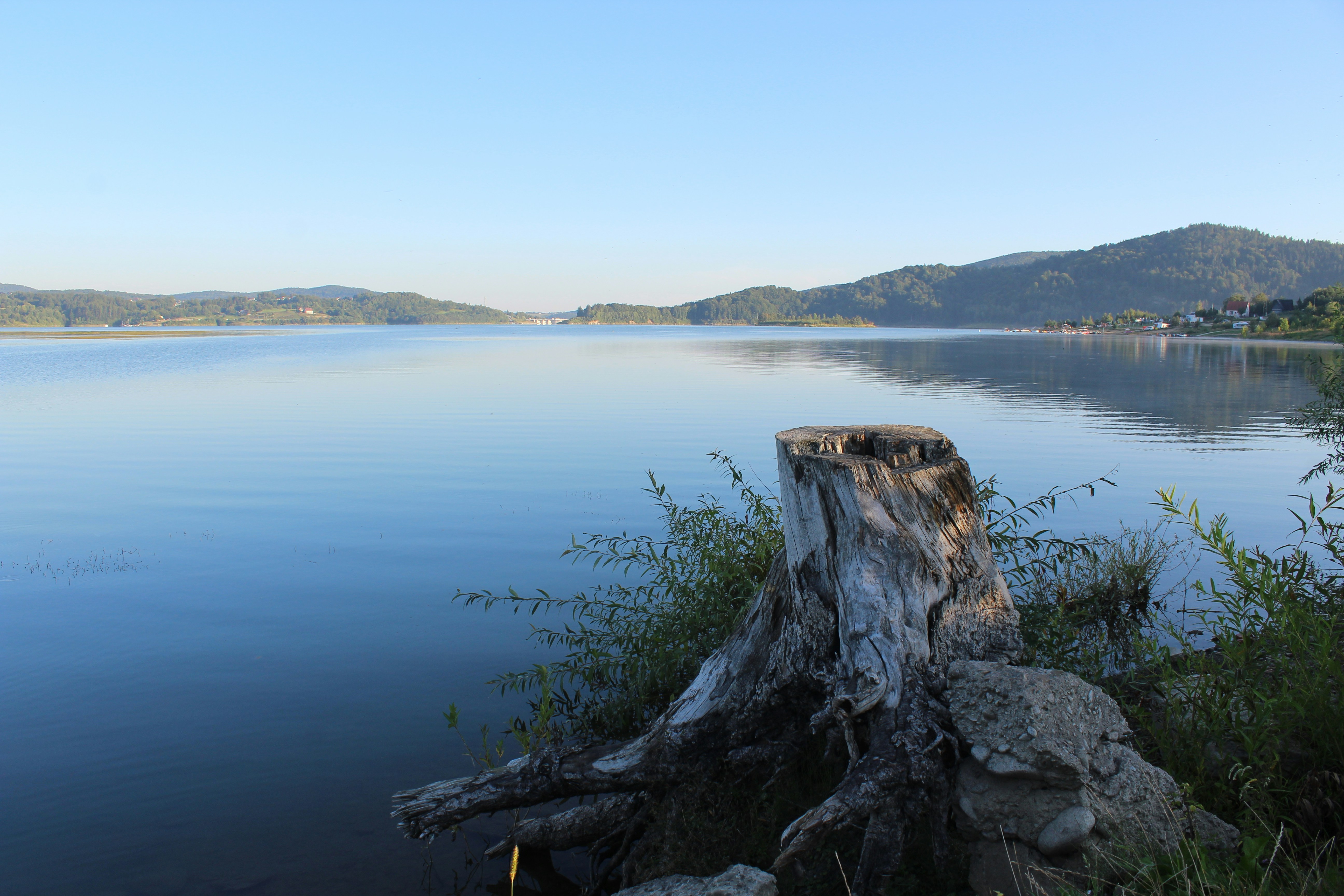 Photo by alys_skowron