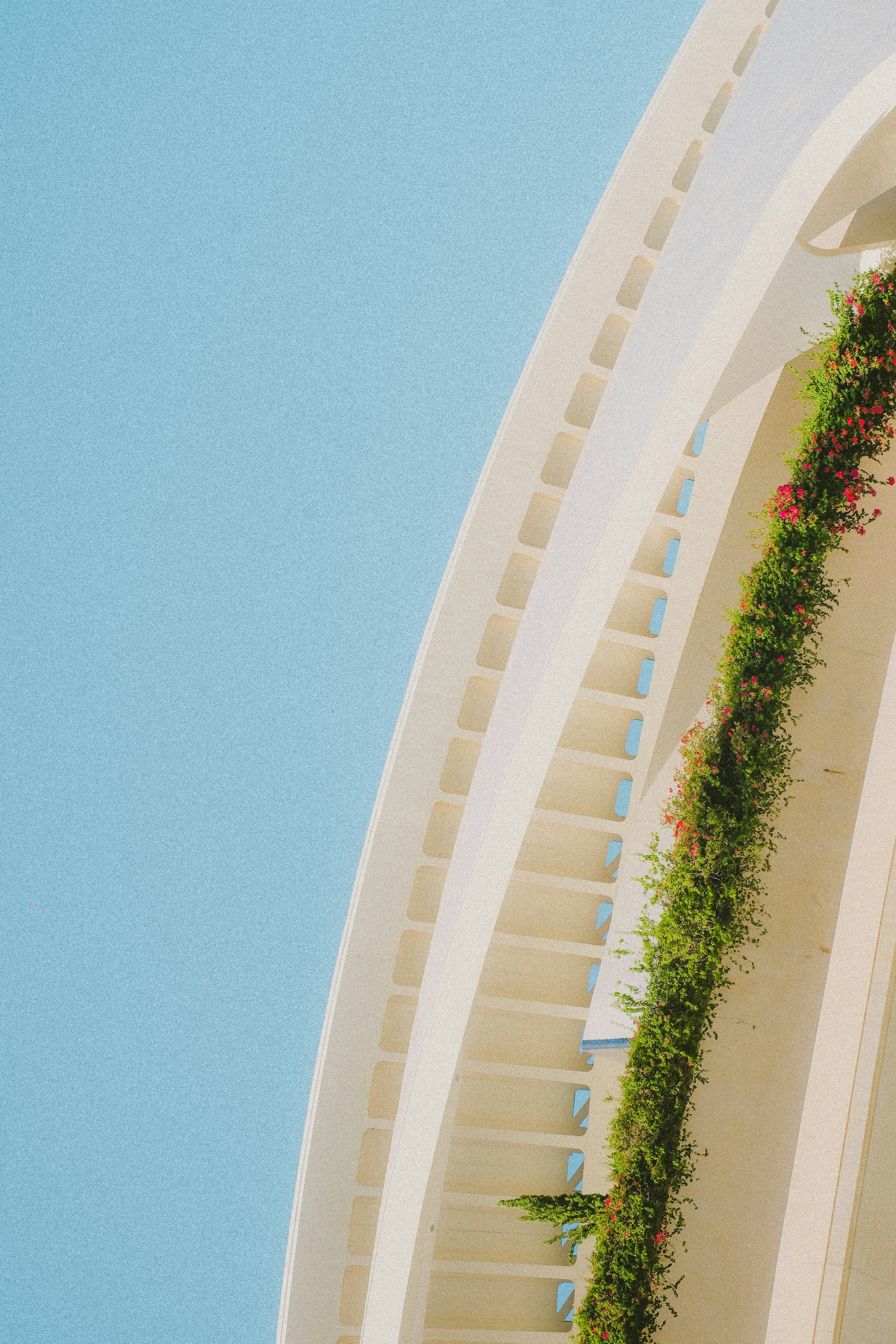 Photo by alicharmant