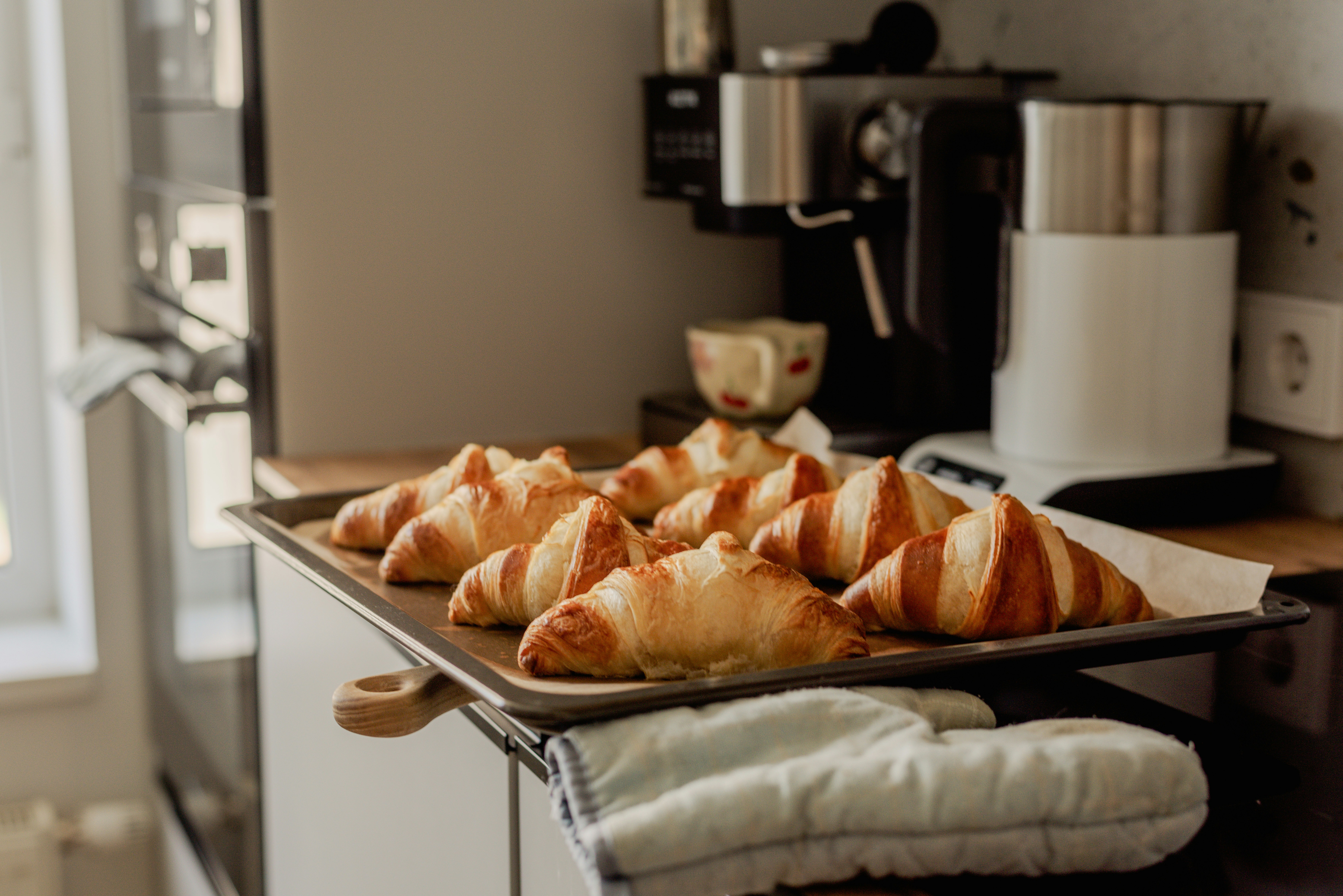 손해보험의 핵심 이론: 이론과 실제의 조화