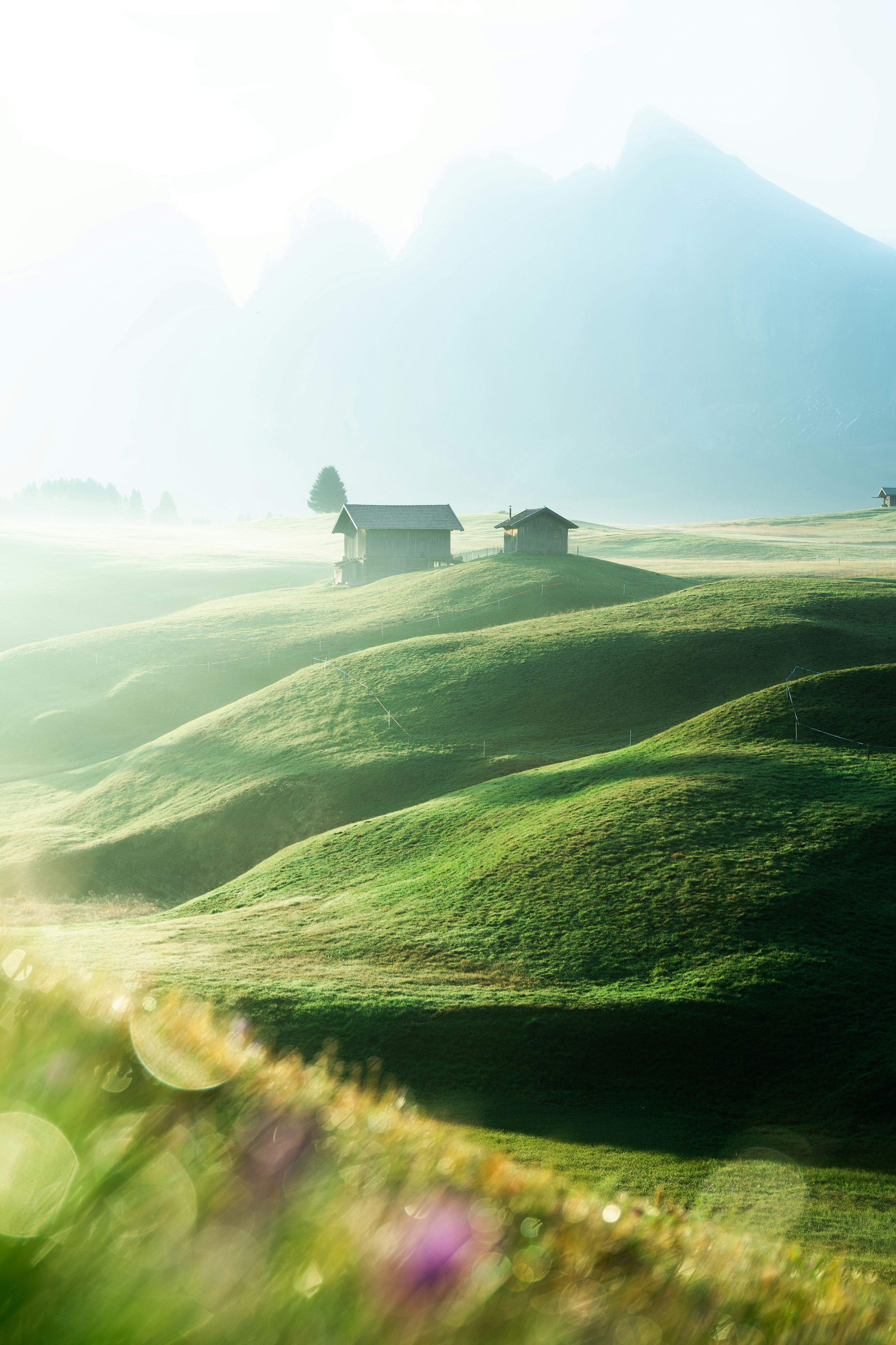 "Justin Sun Promises Gary Gensler a Job After Elections: What Awaits the SEC Chairman if the Trump Administration Replaces Him?"