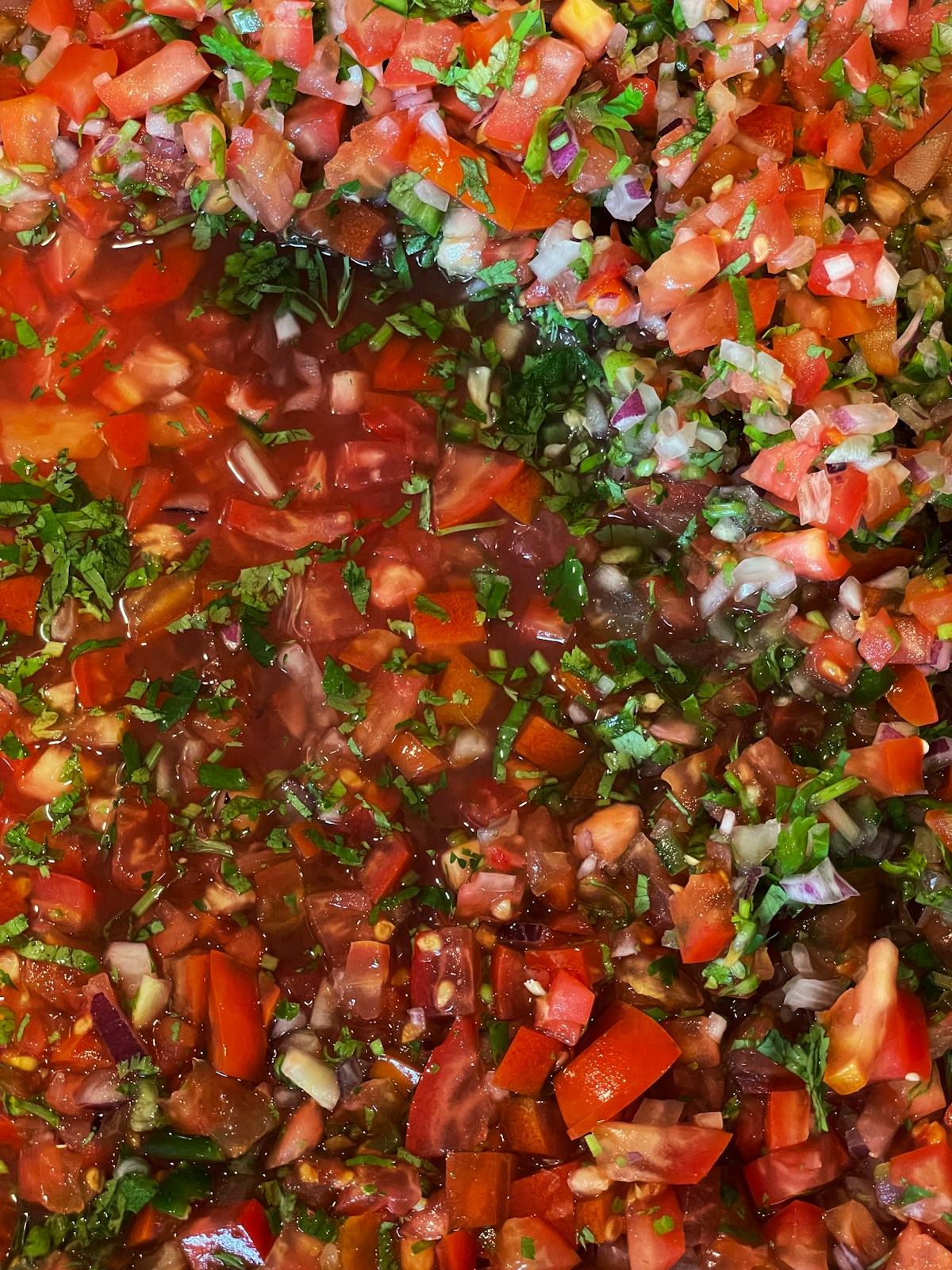 Salsa Fresca with Rice