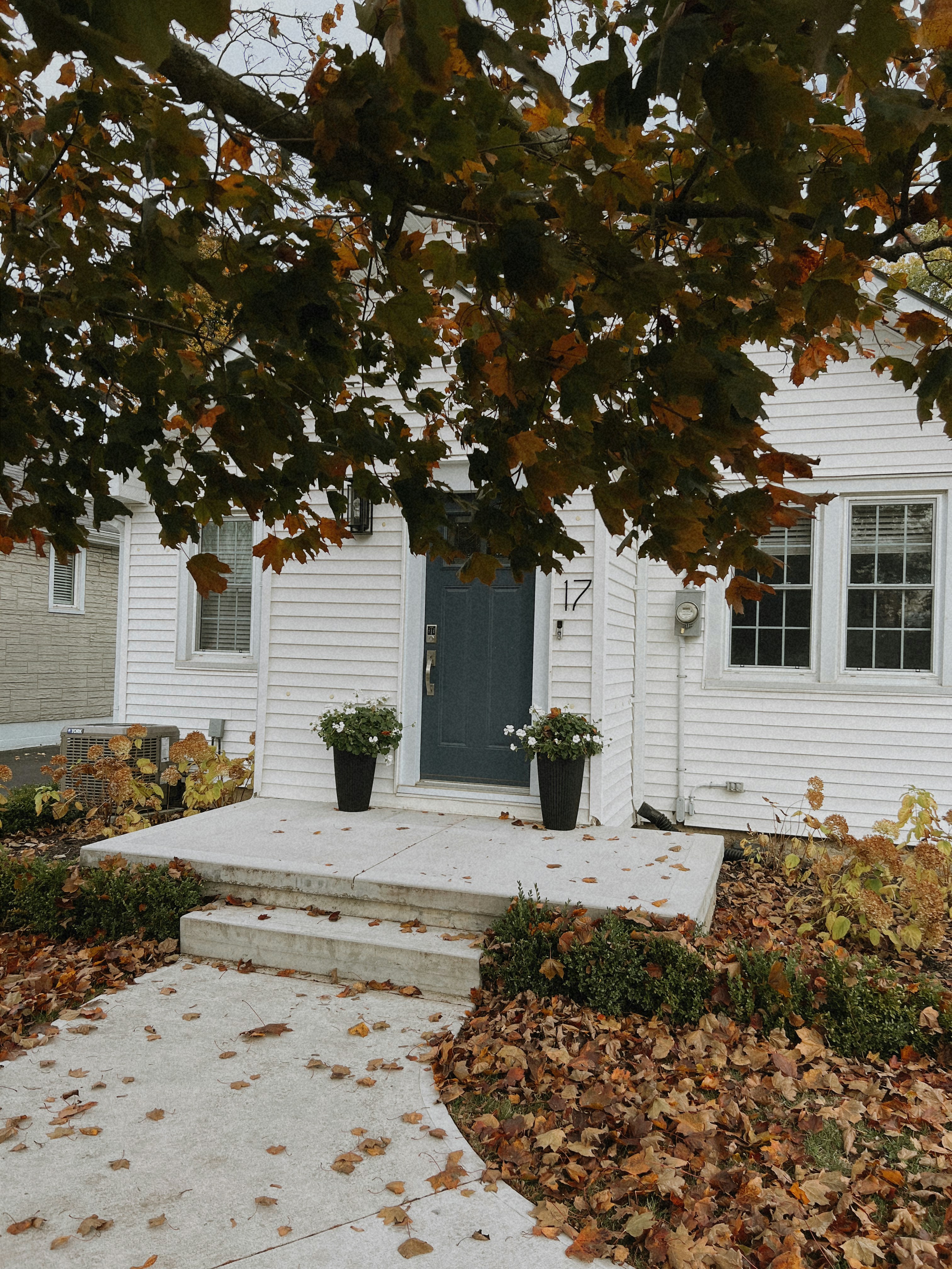A small white house with a blue door