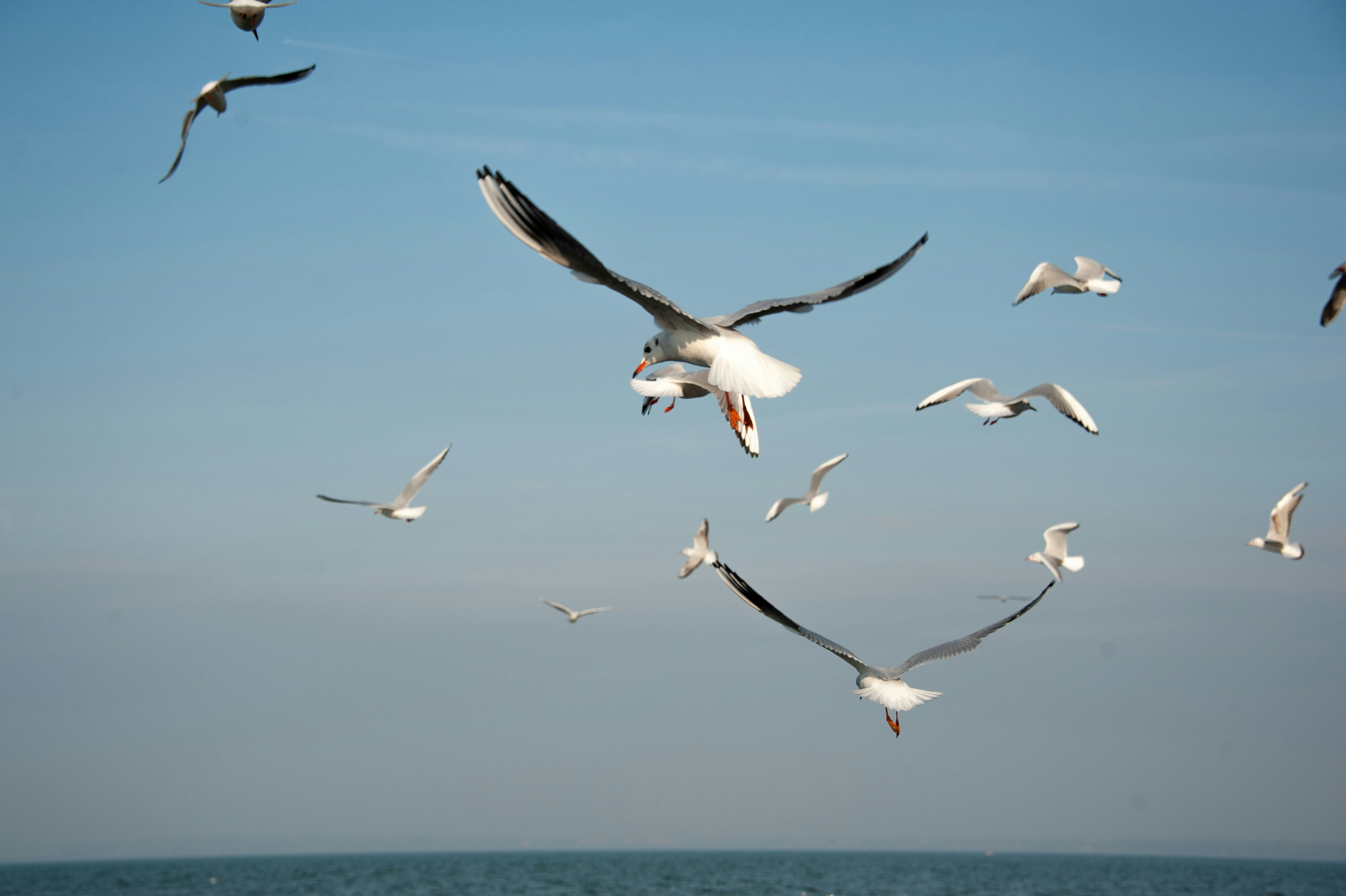 Photo by rrricharddd