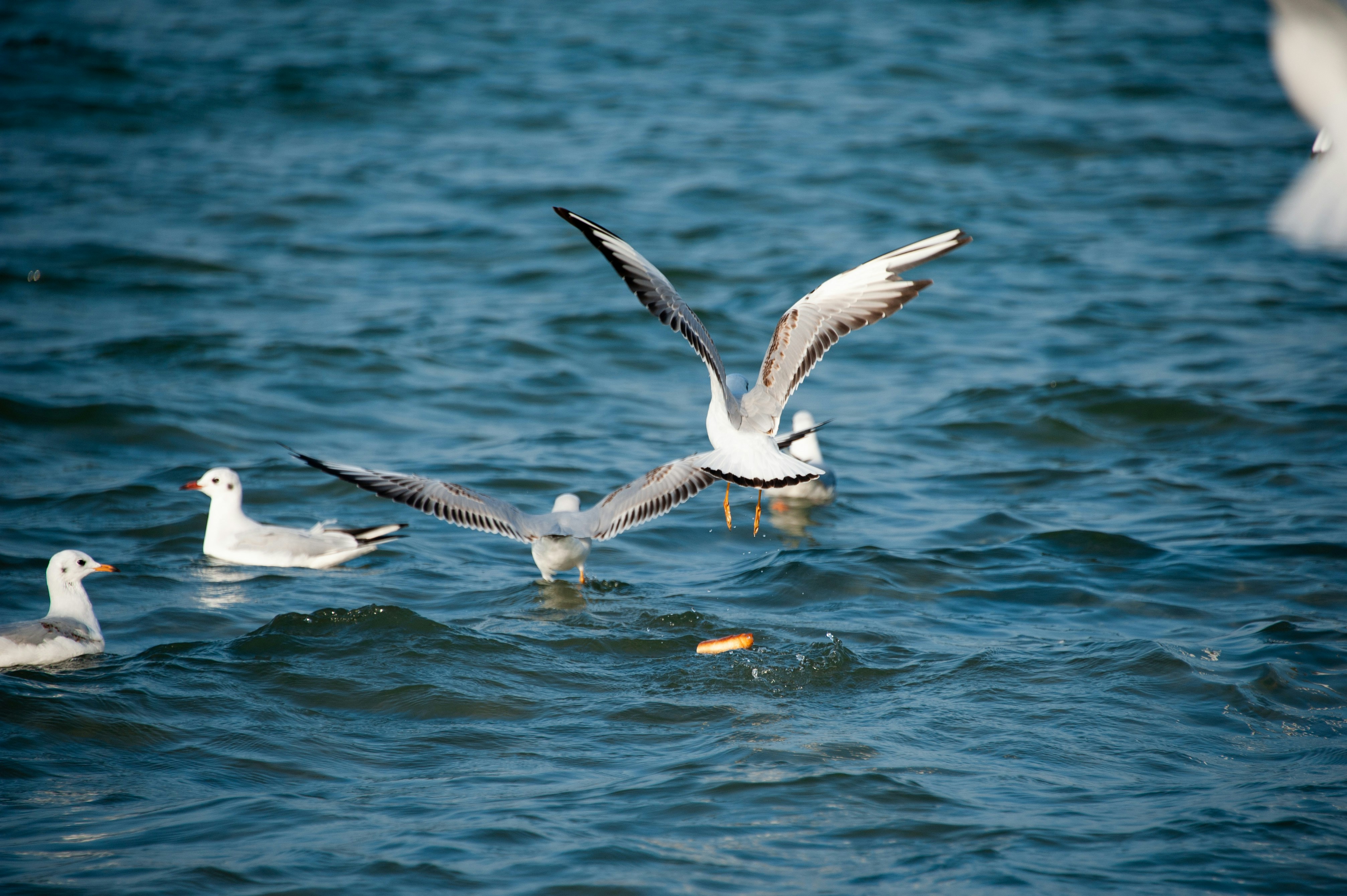 Photo by rrricharddd