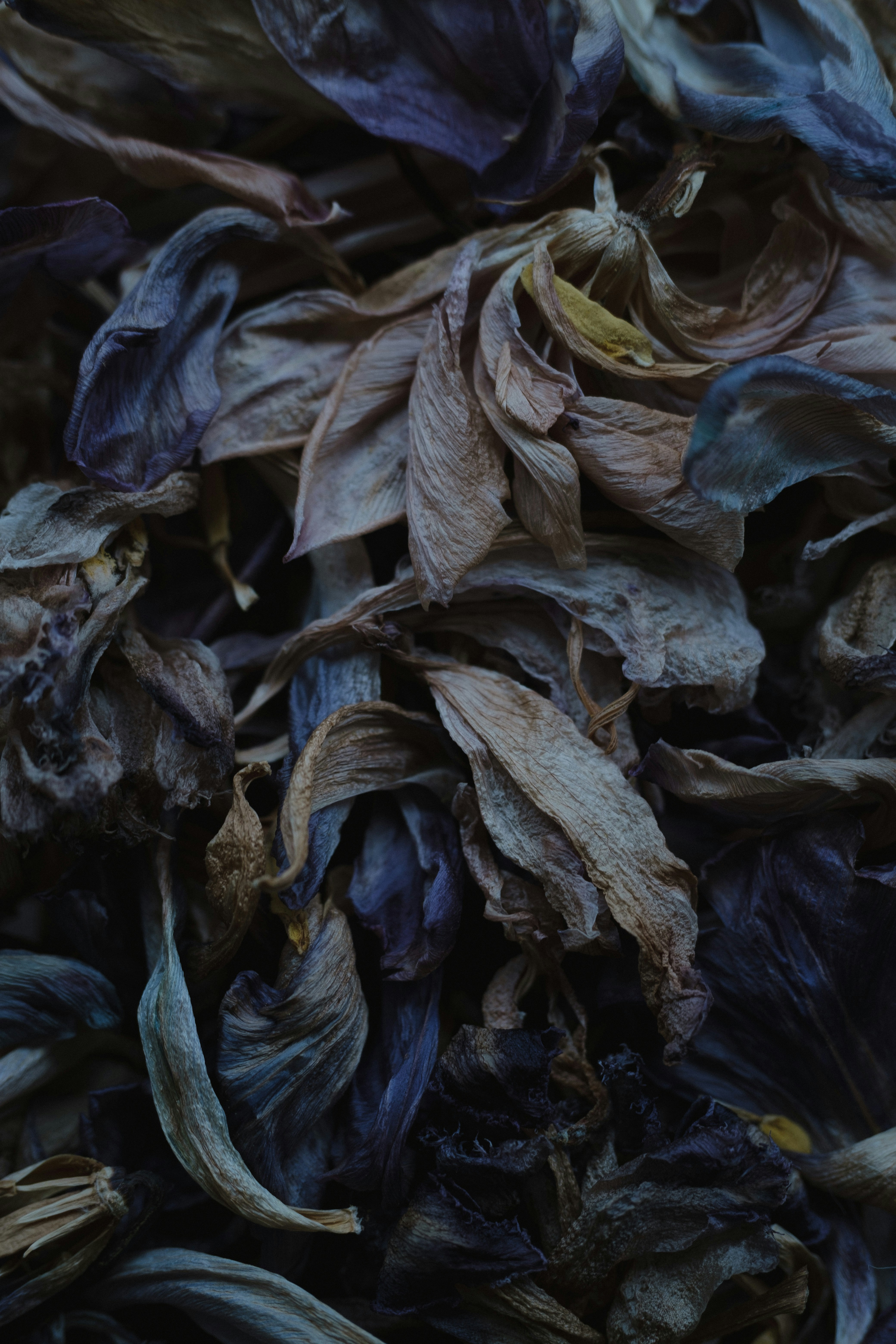 Photo by 360floralflaves