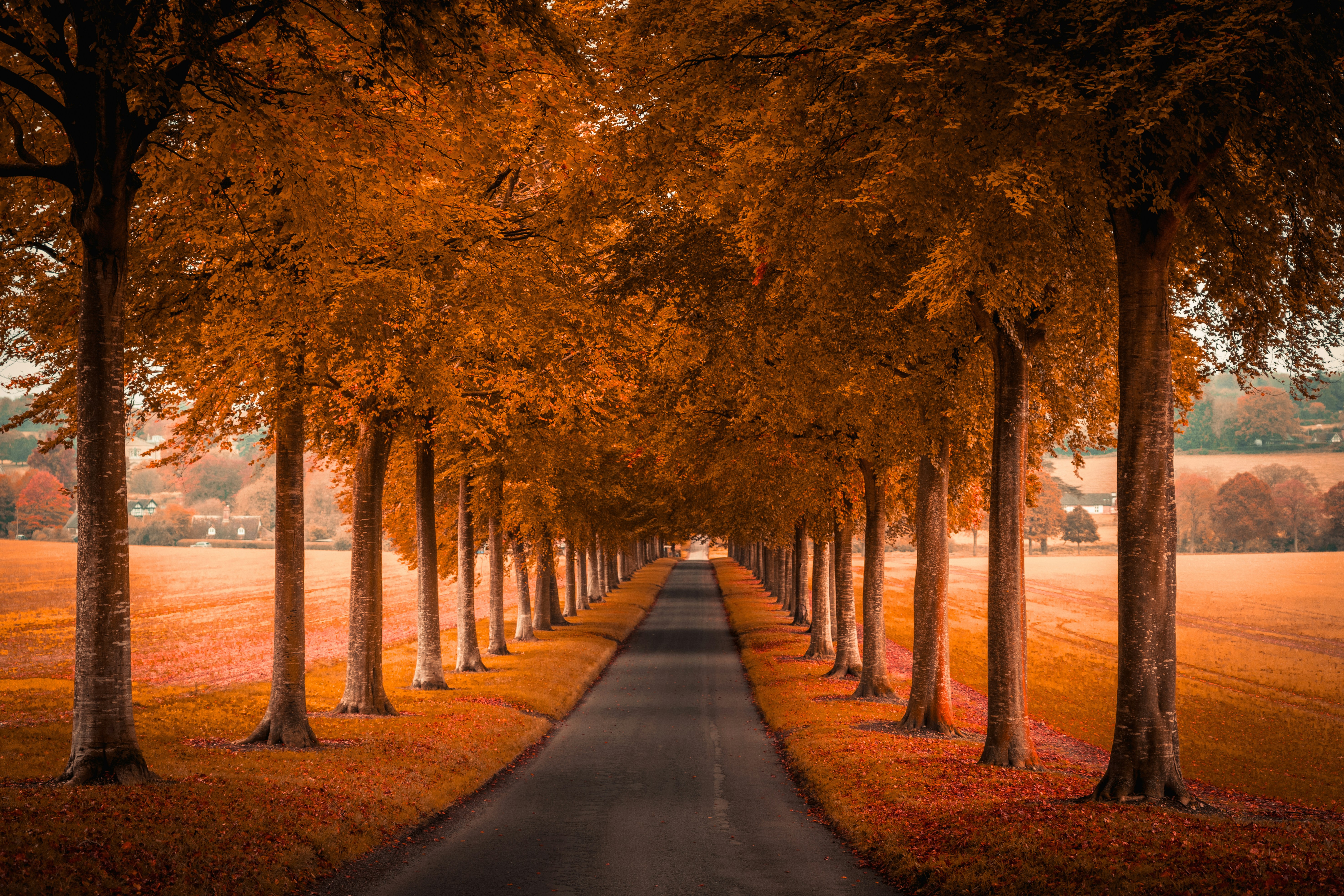 Photo by jannerboy62