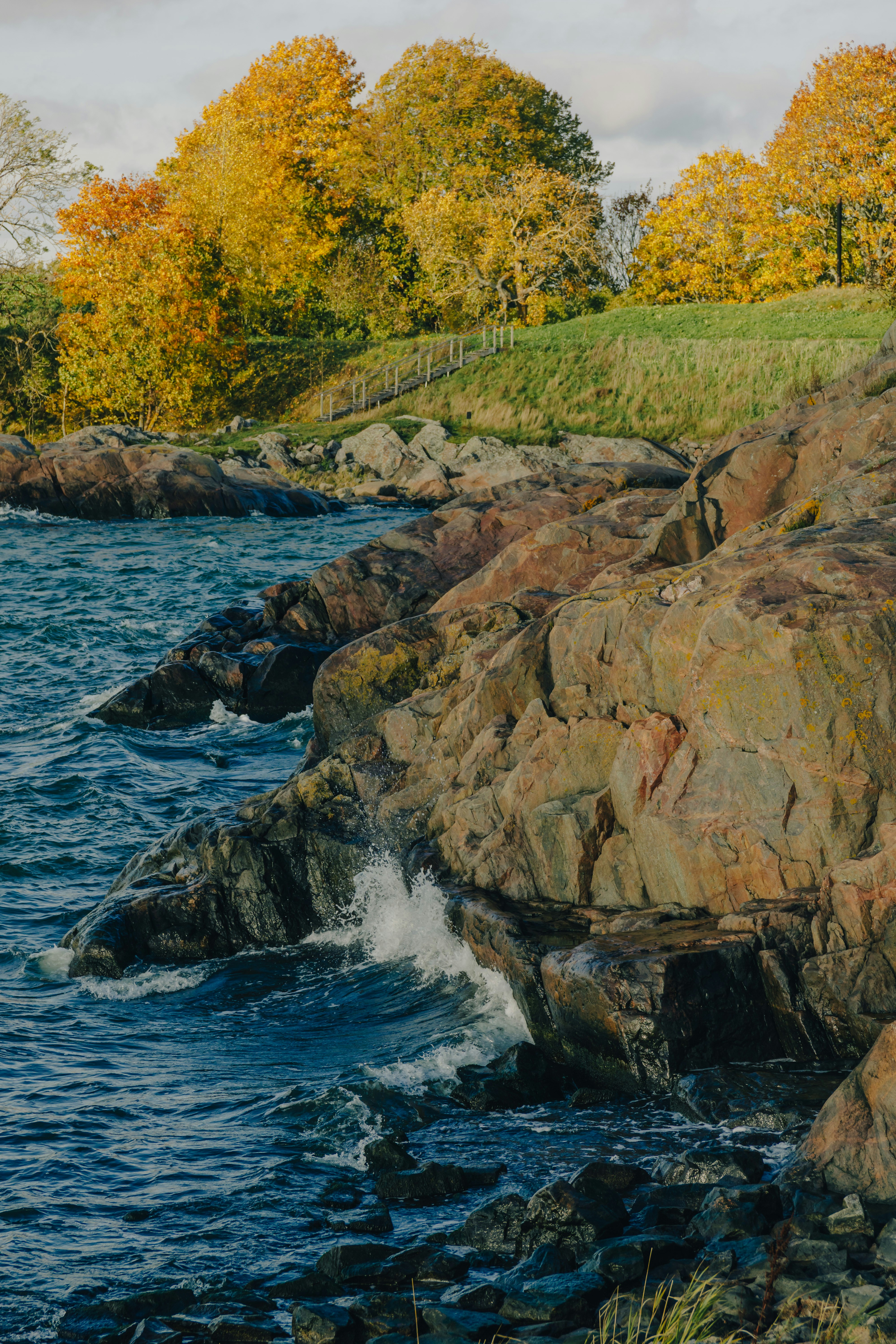 바위와 나무로 둘러싸인 수역