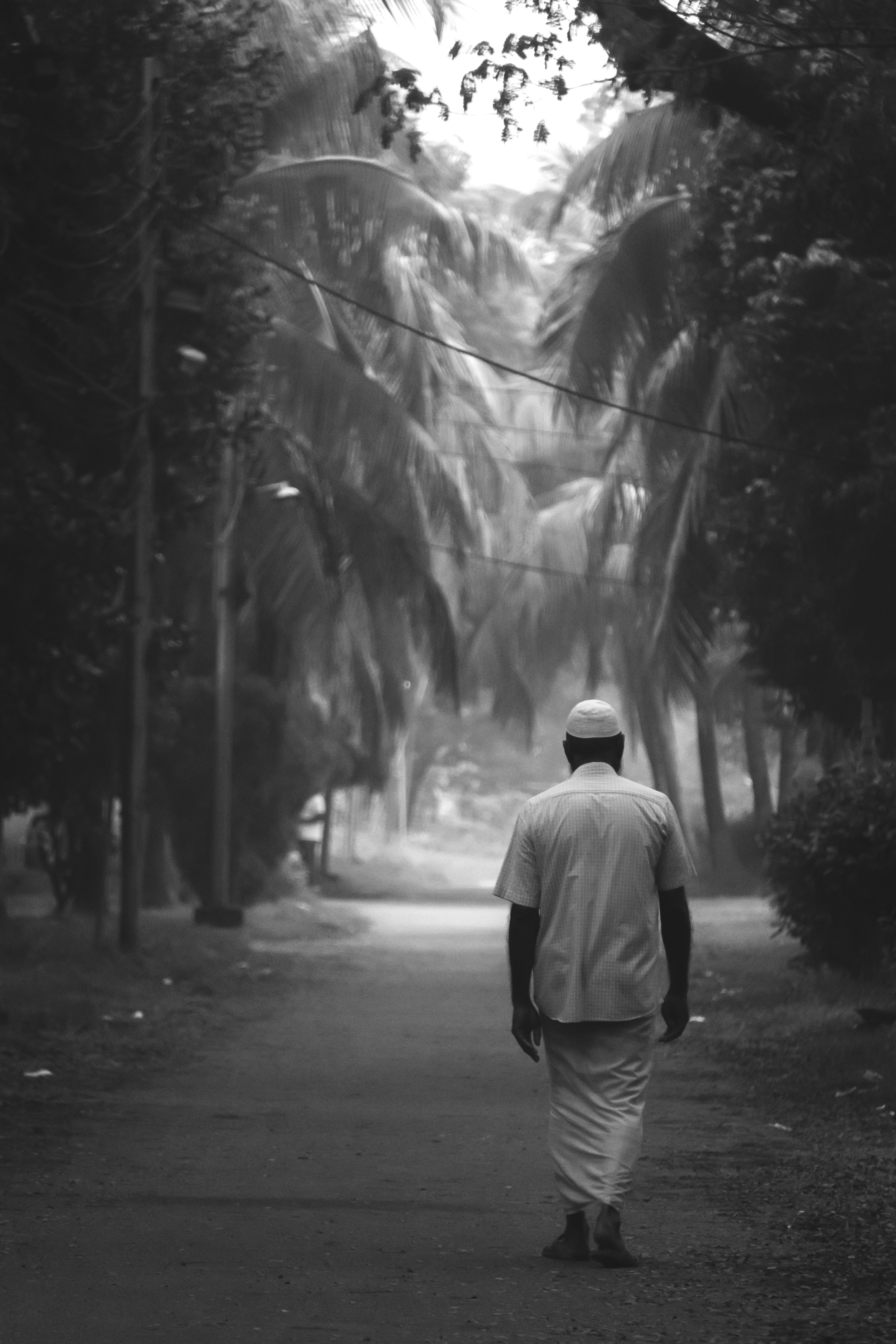 Un hombre caminando por un camino bordeado de árboles