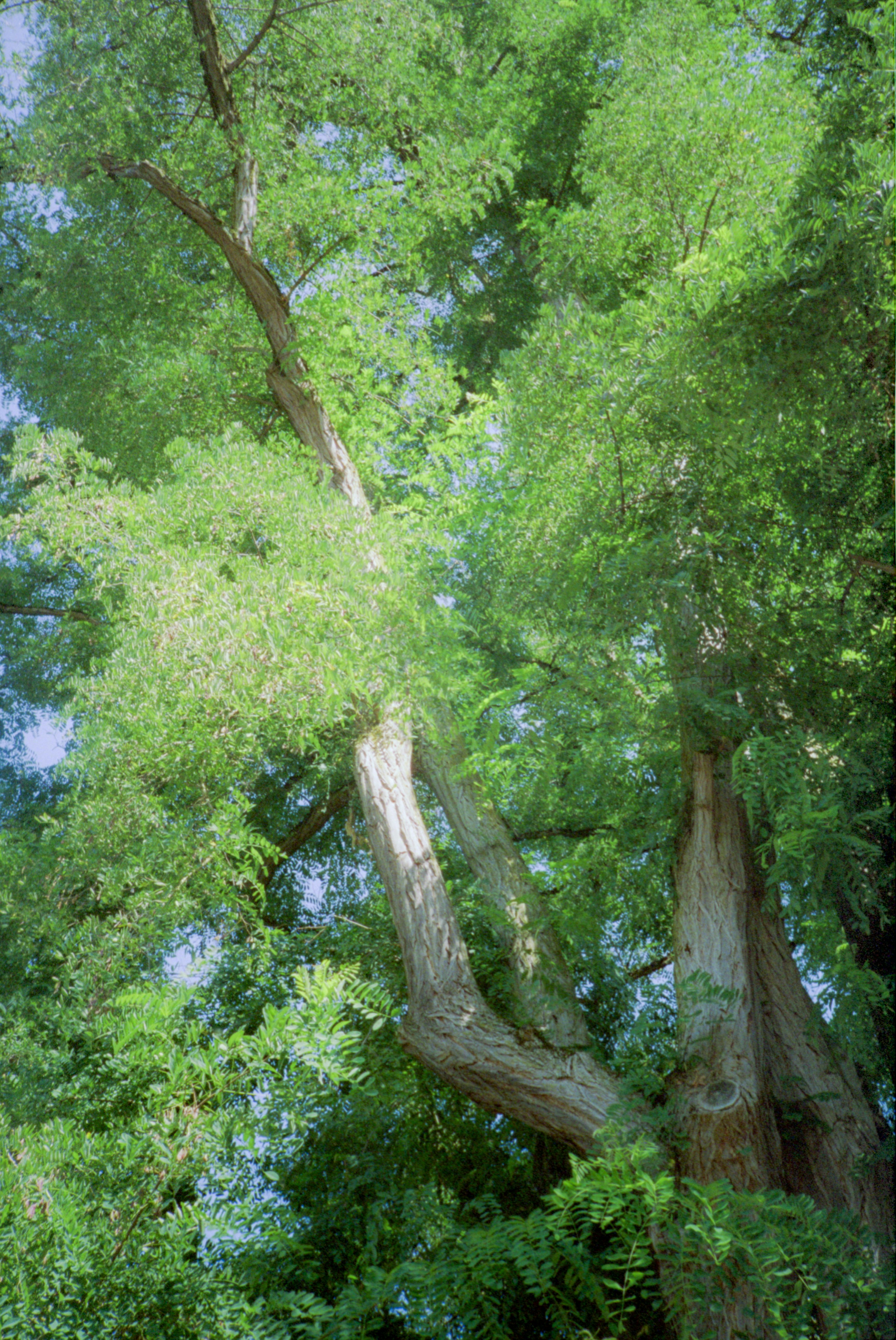 Photo by davidschultz