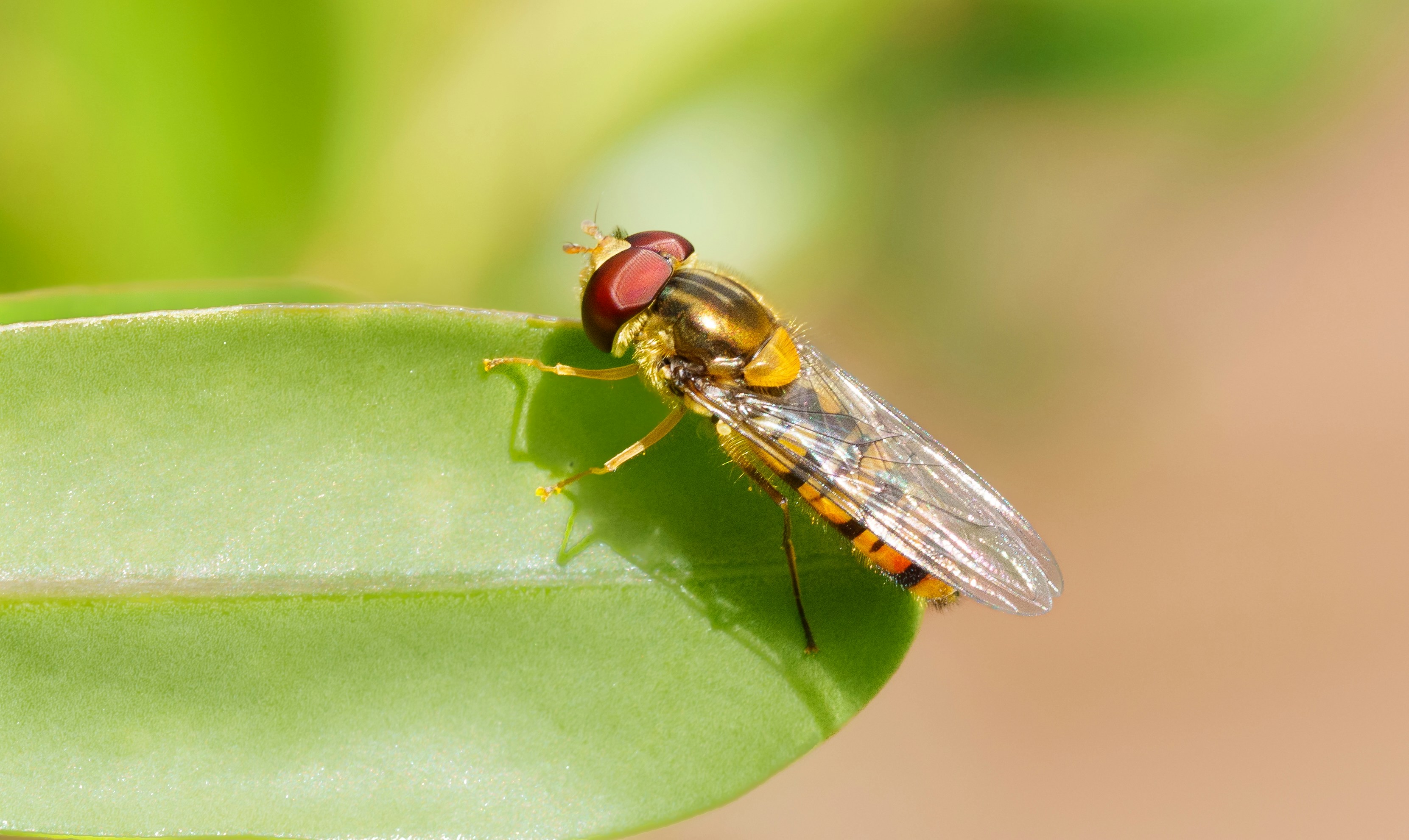 Photo by ameefairbankbrown