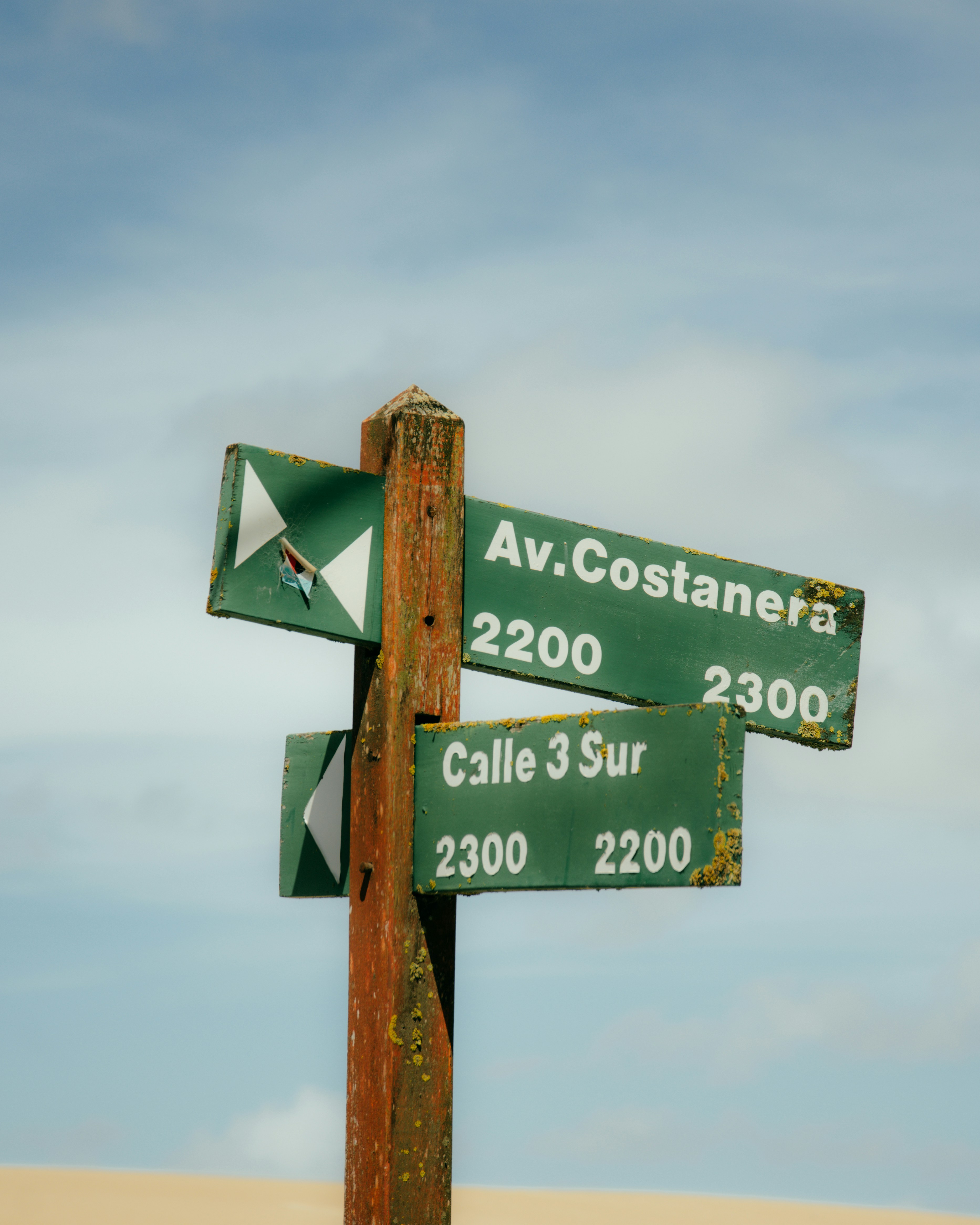 Bondi to Coogee Coastal Walk photo 3