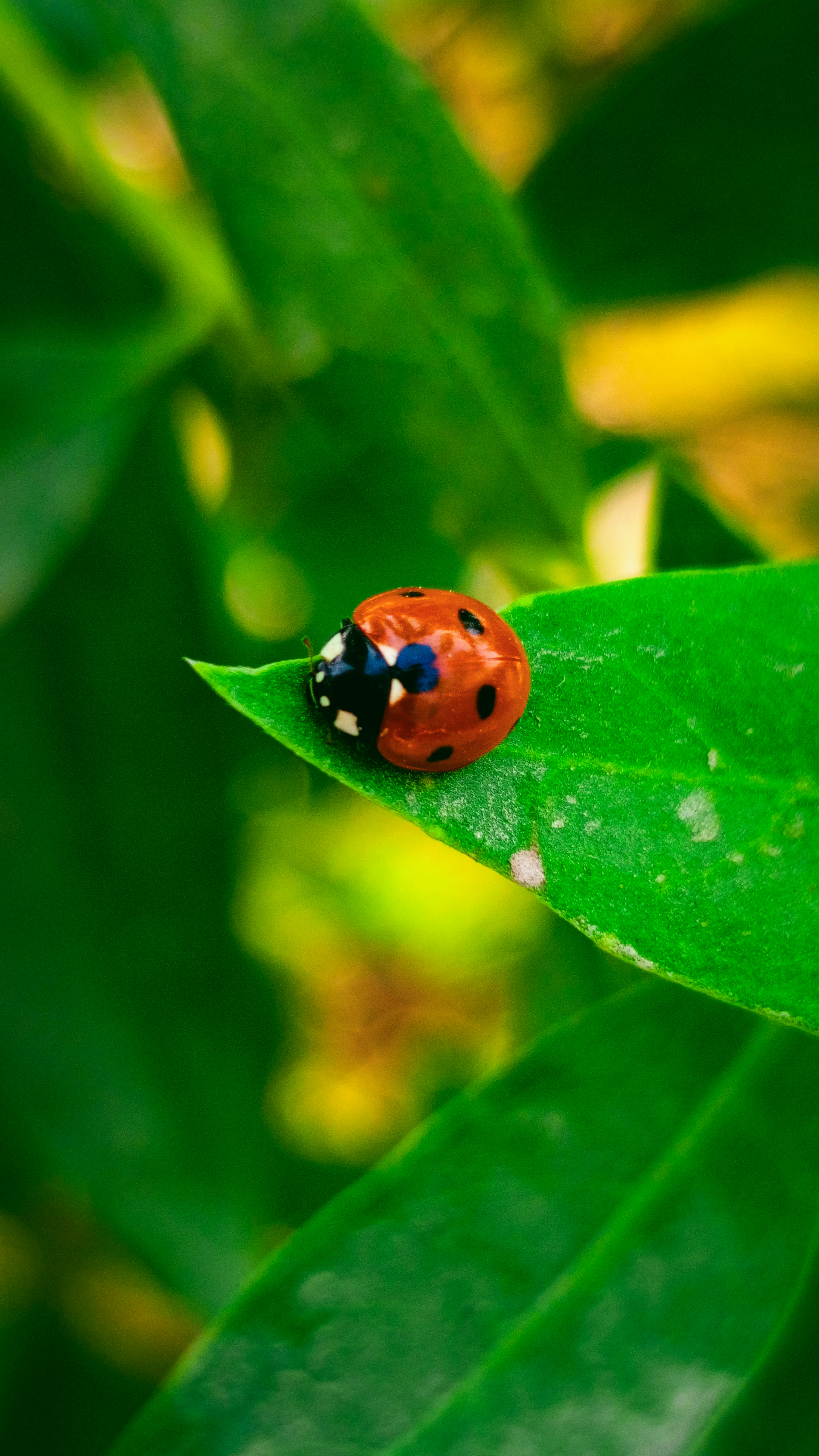 Photo by fukw0314_88