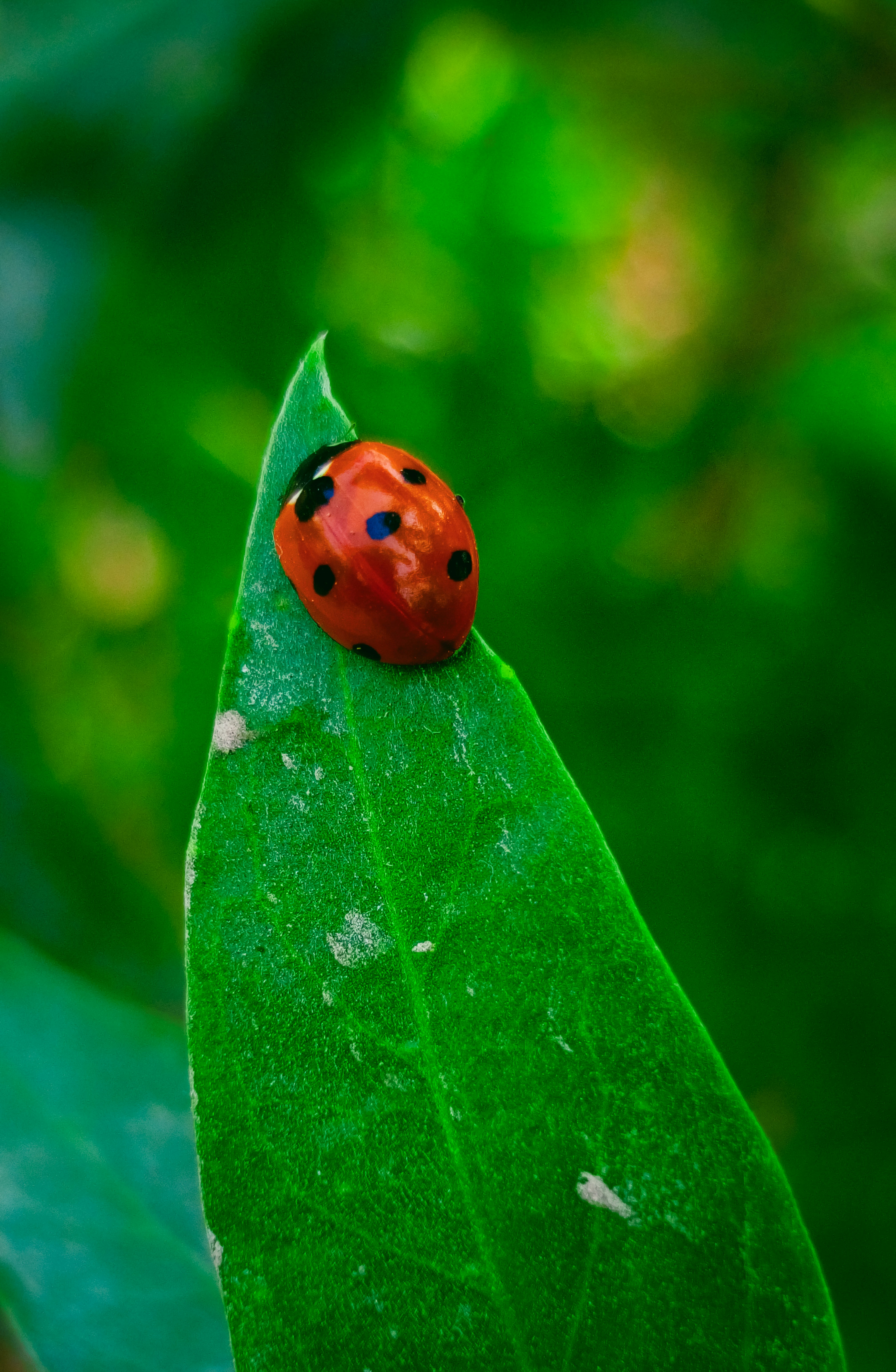 Photo by fukw0314_88