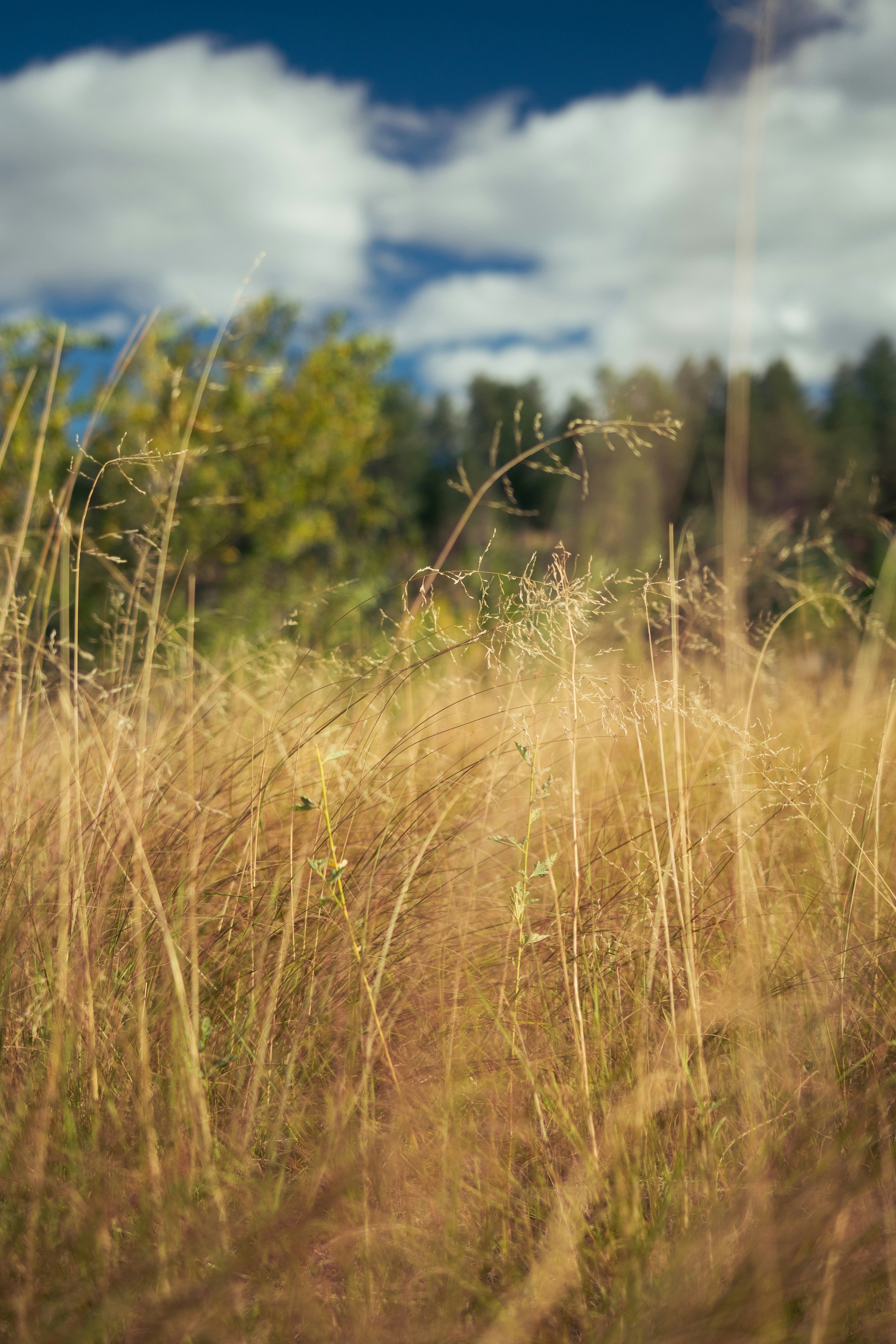 Photo by starworshipp3r