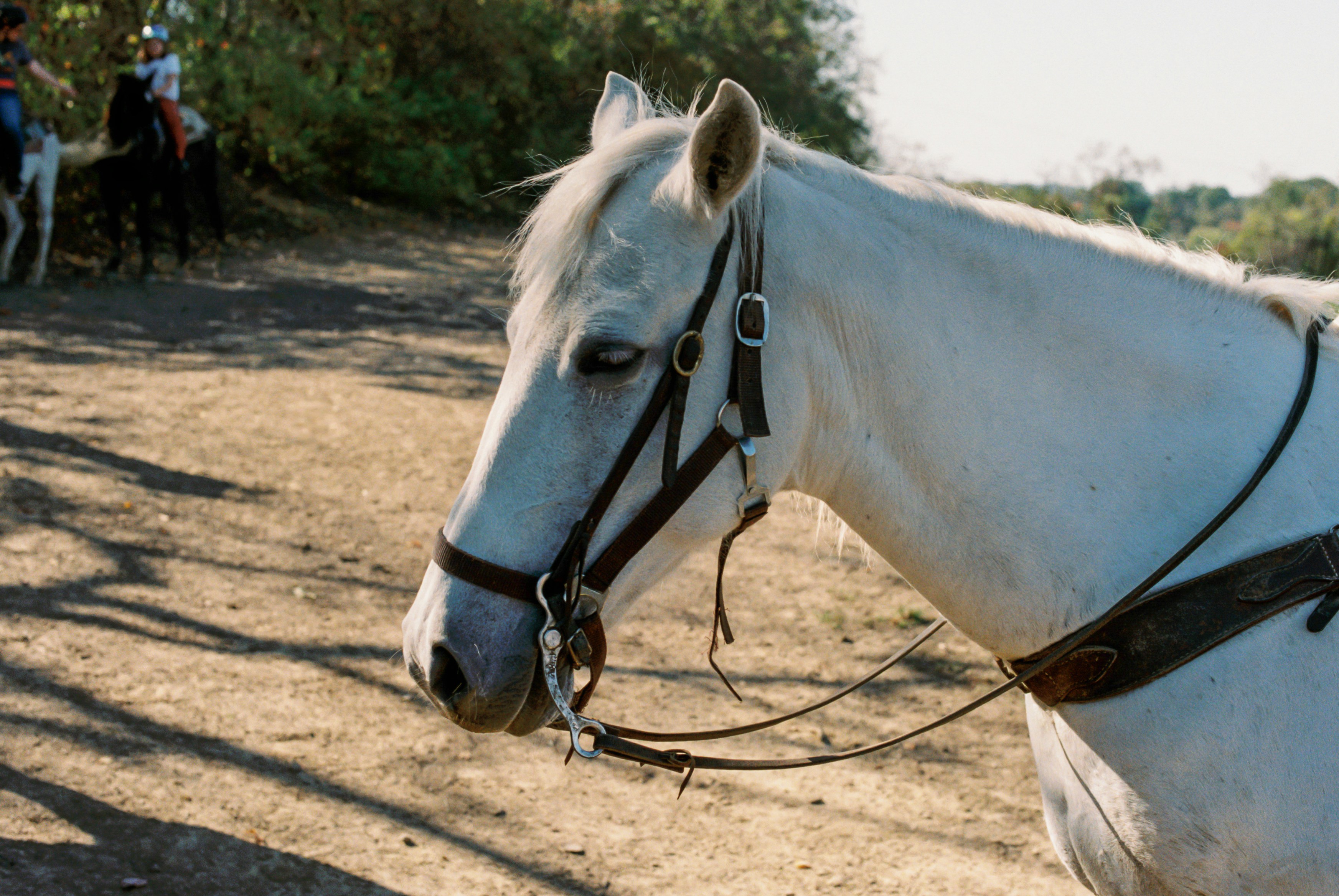 Photo by zhenyao_photo