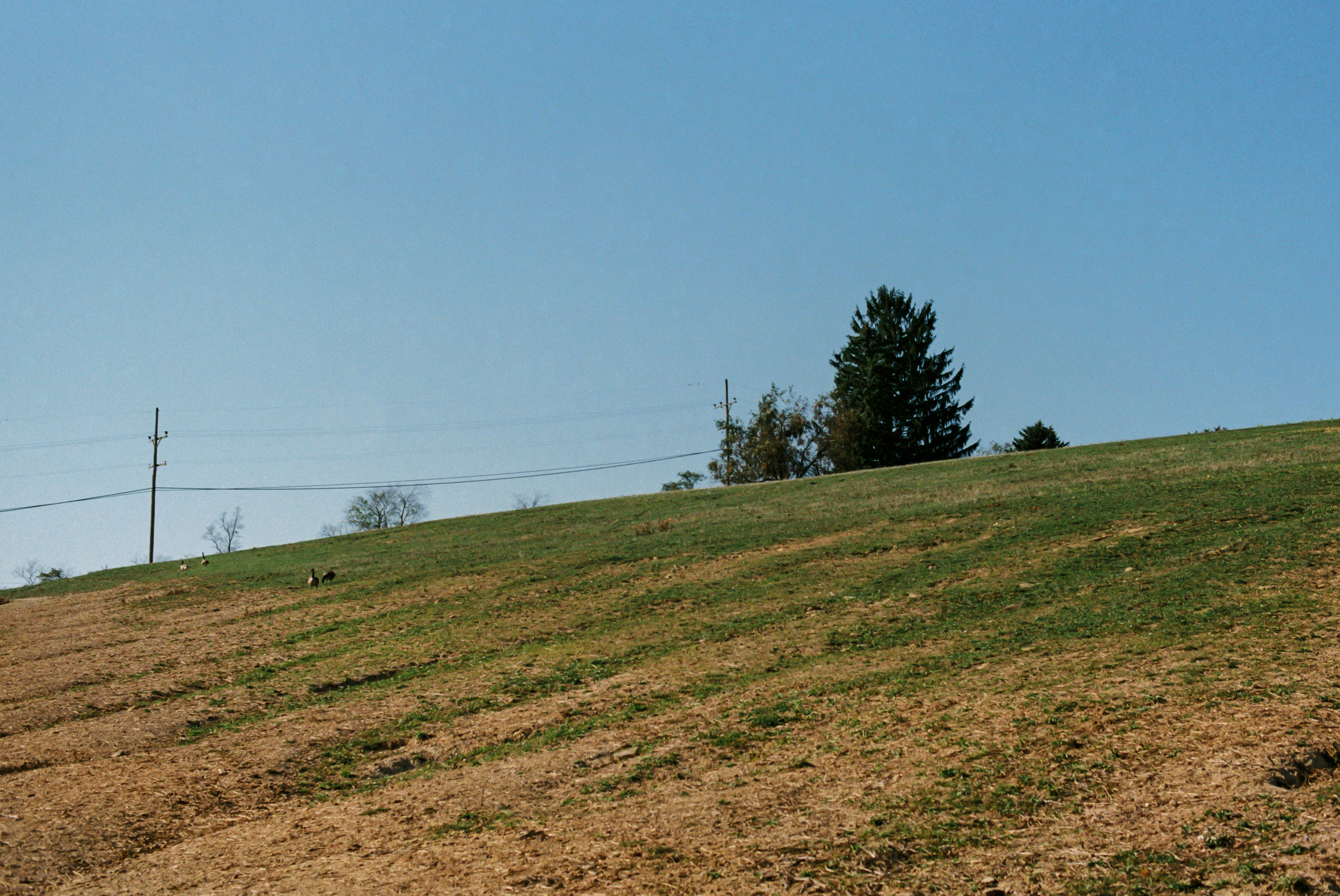 Photo by zhenyao_photo