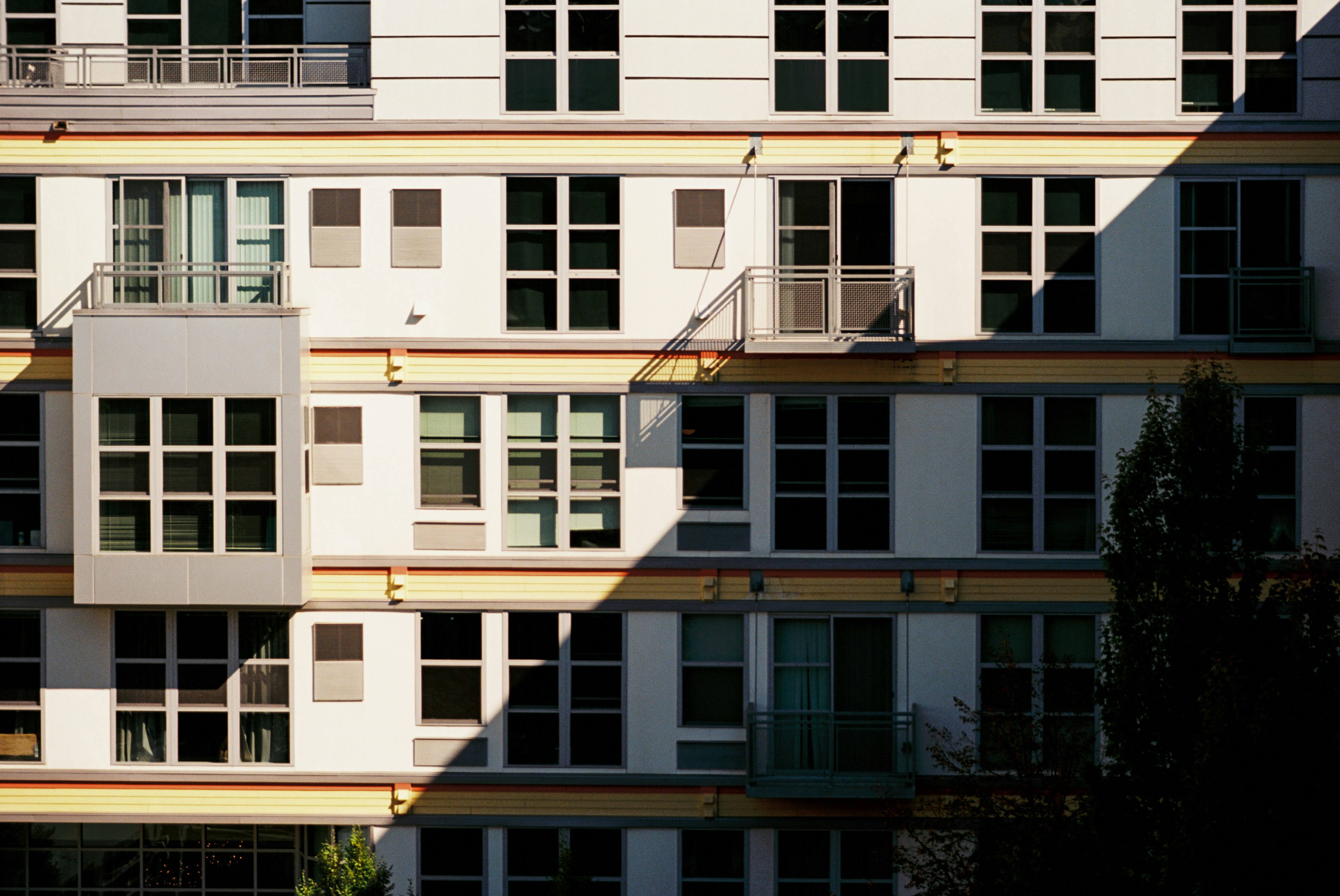 Photo by zhenyao_photo