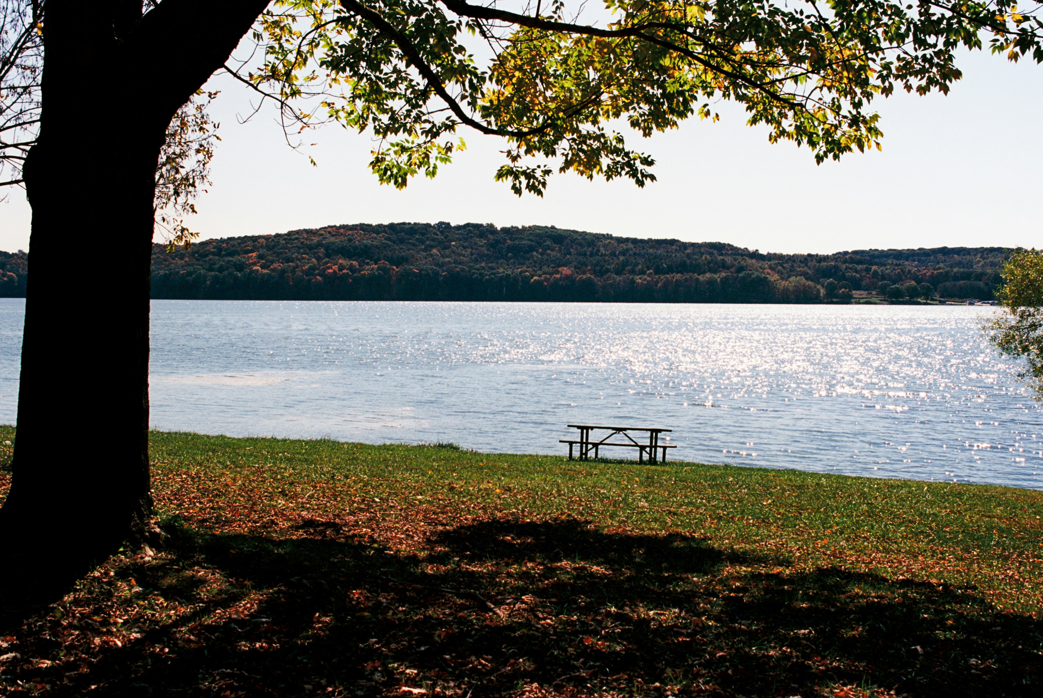 Photo by zhenyao_photo