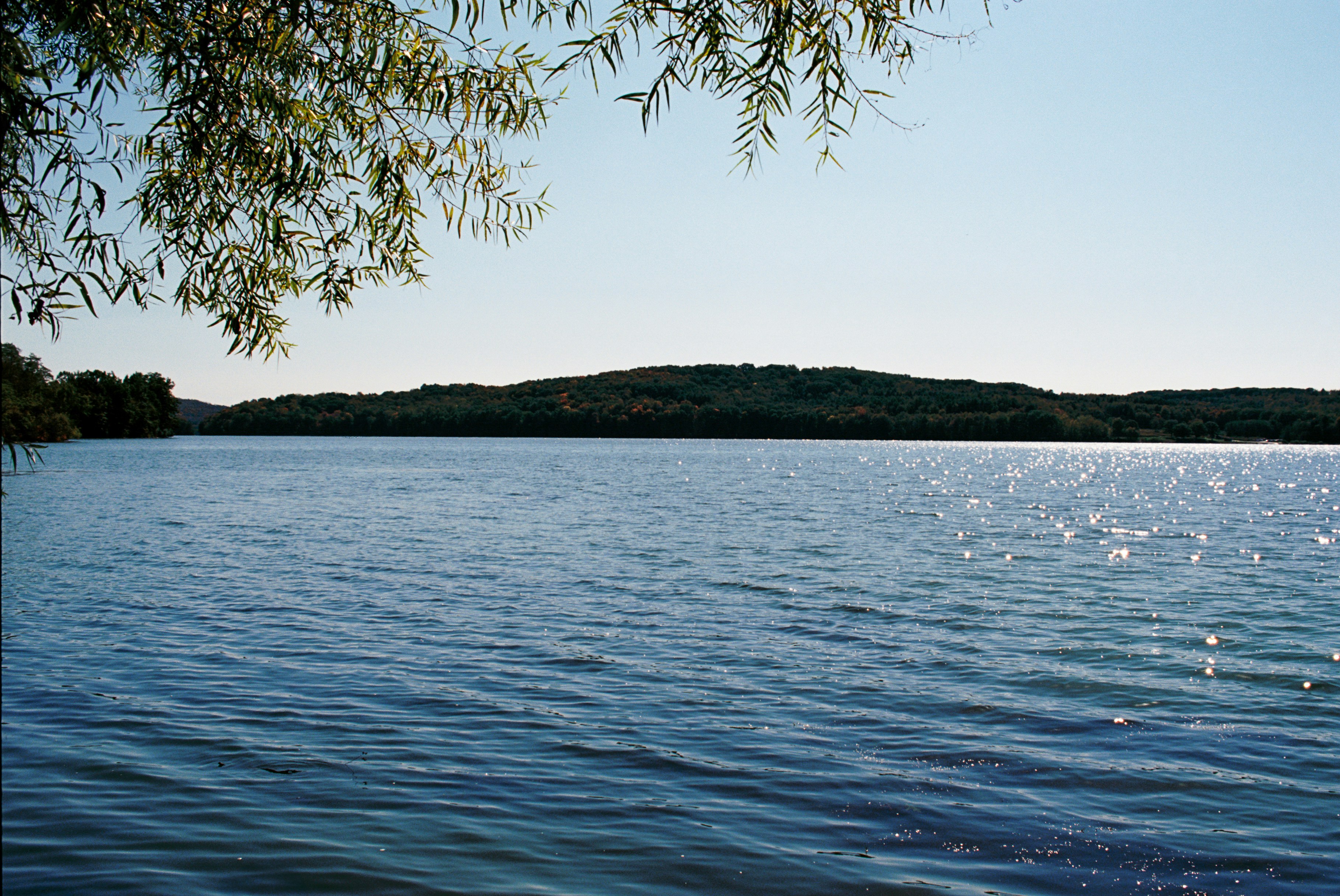 Photo by zhenyao_photo