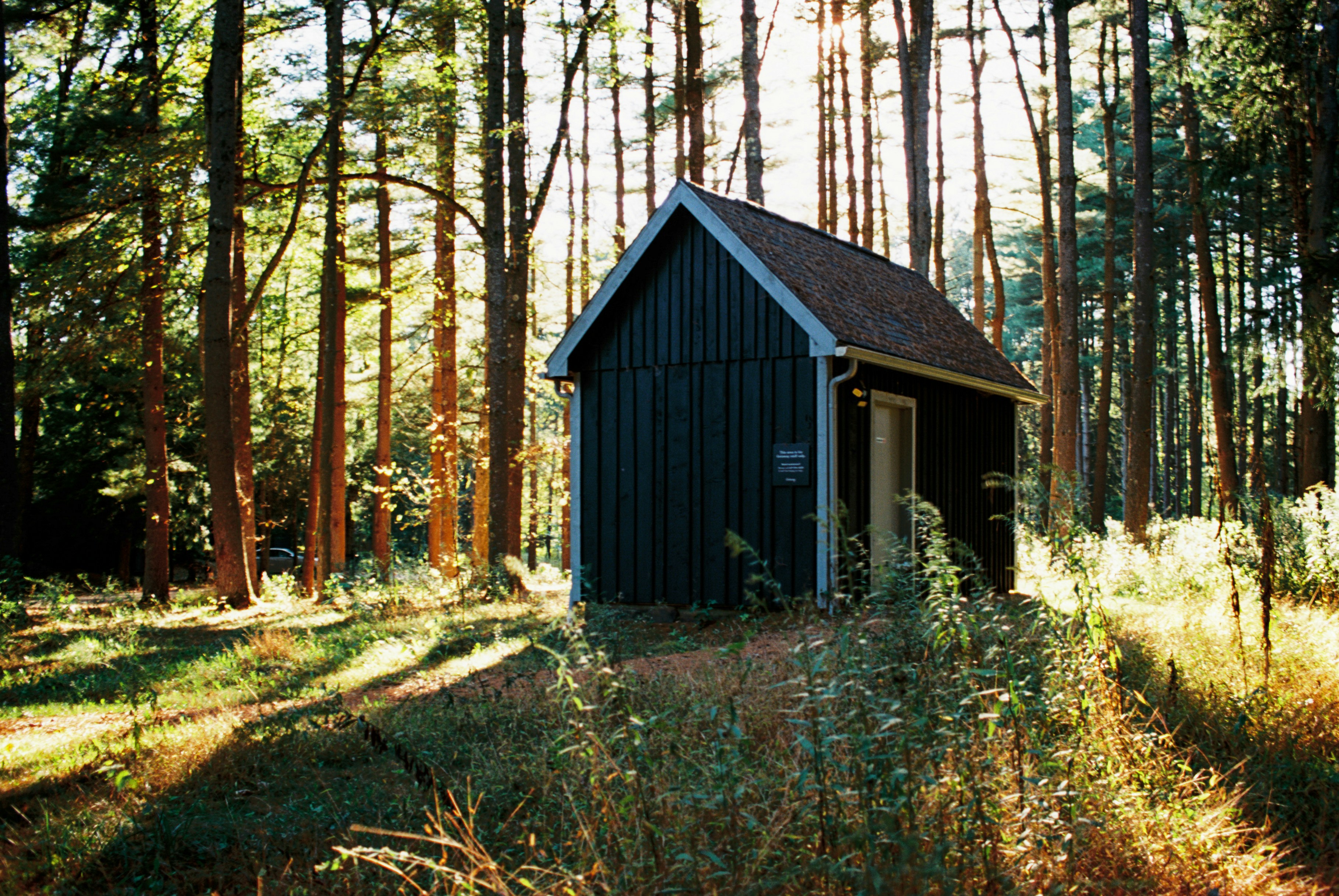 Photo by zhenyao_photo