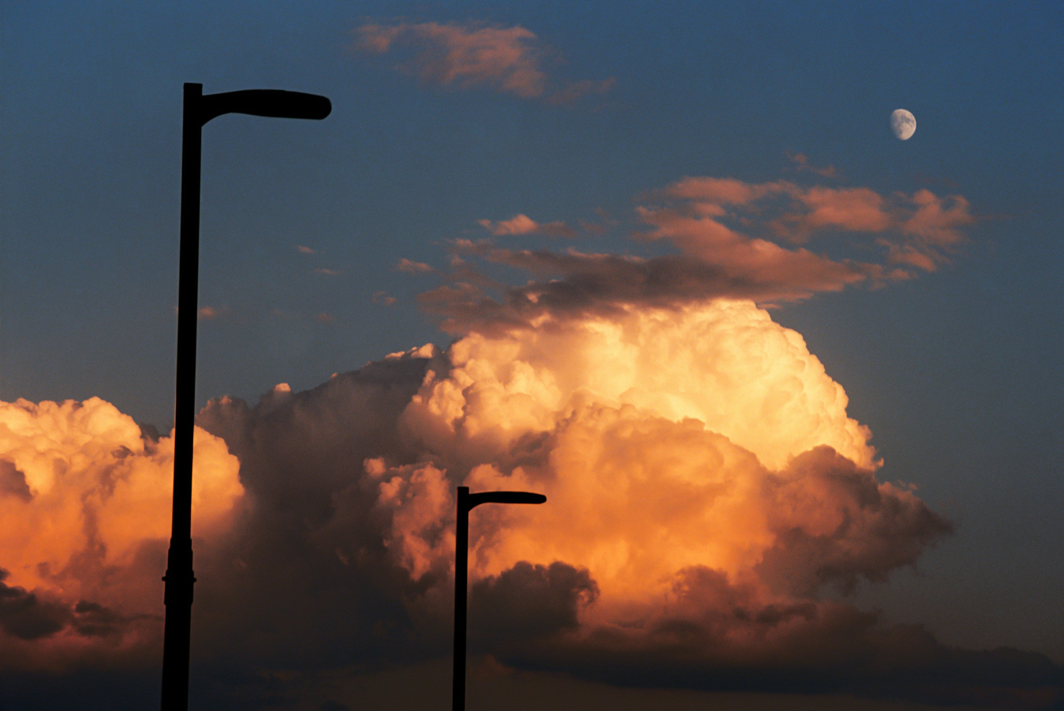 Photo by zhenyao_photo