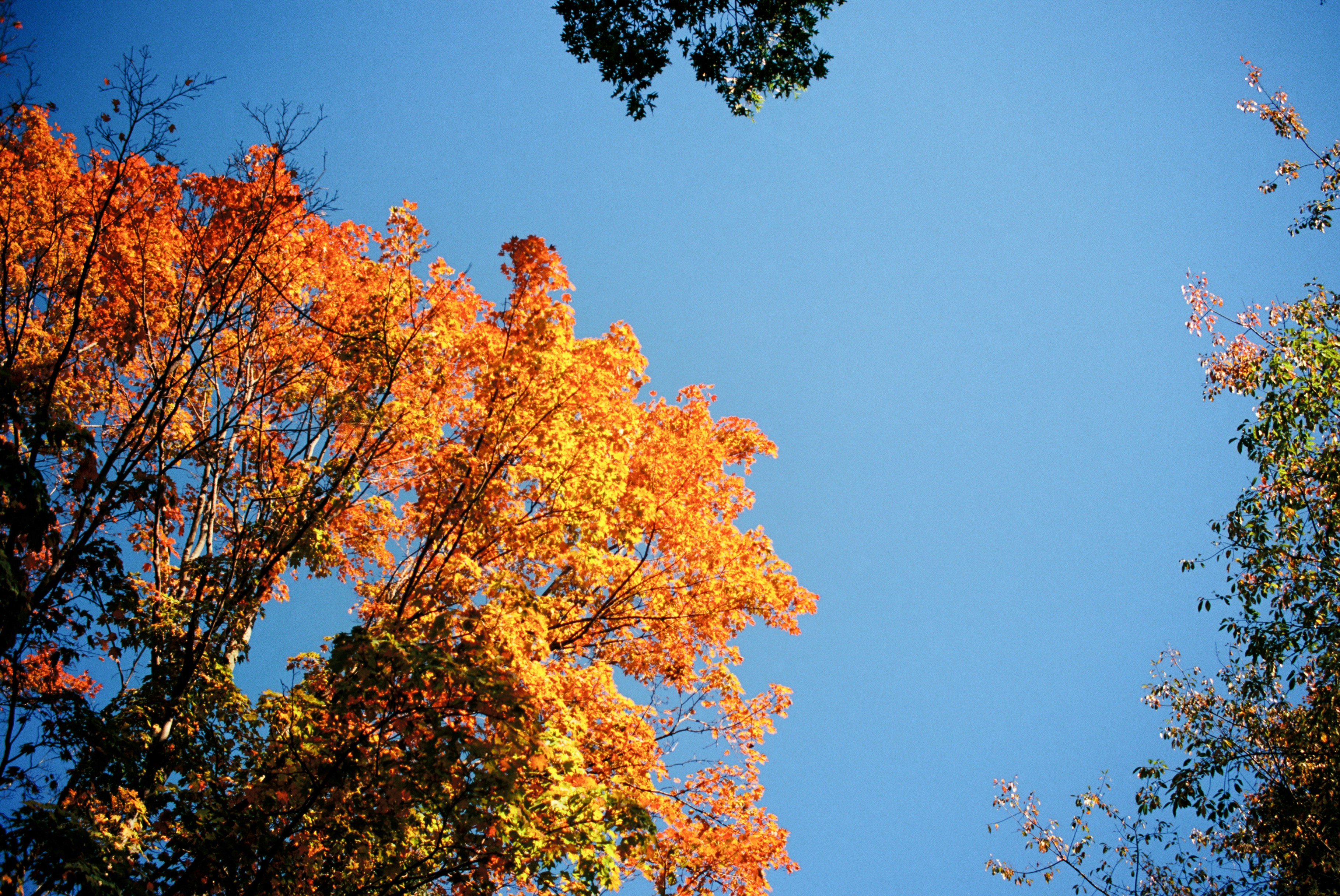 Photo by zhenyao_photo