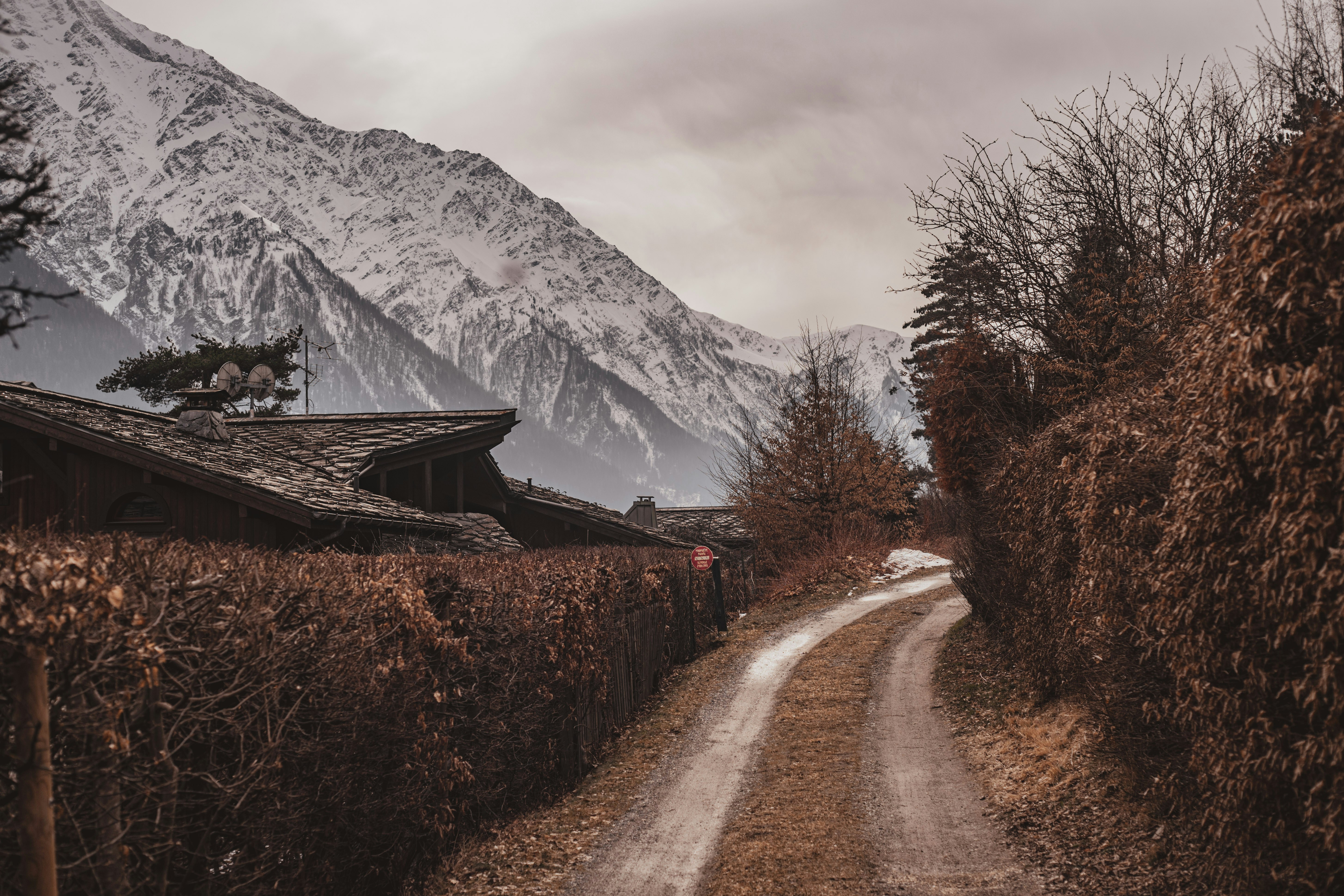 A dirt road surrounded by trees and mountains