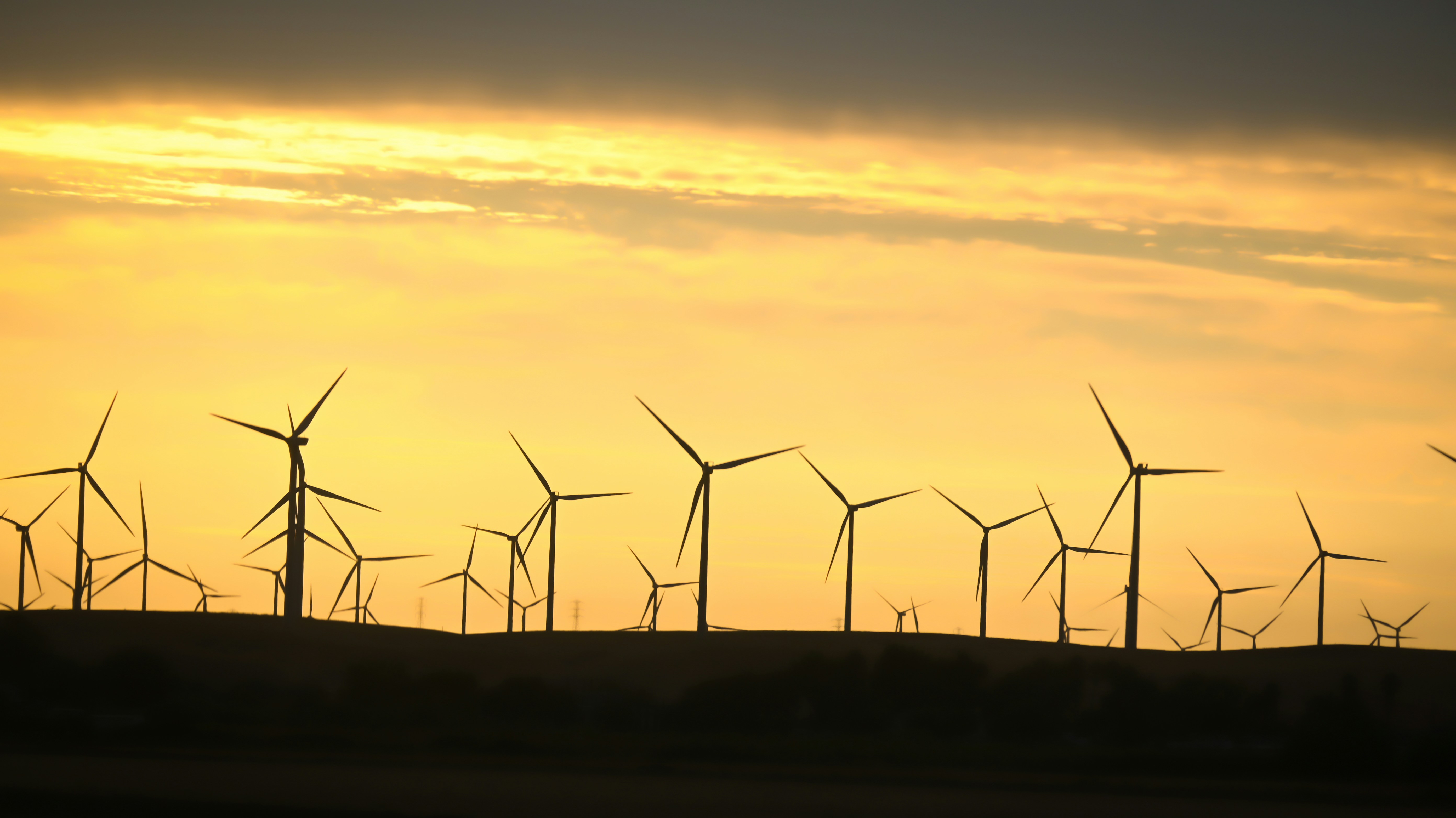 Photo by rigel_s_lens