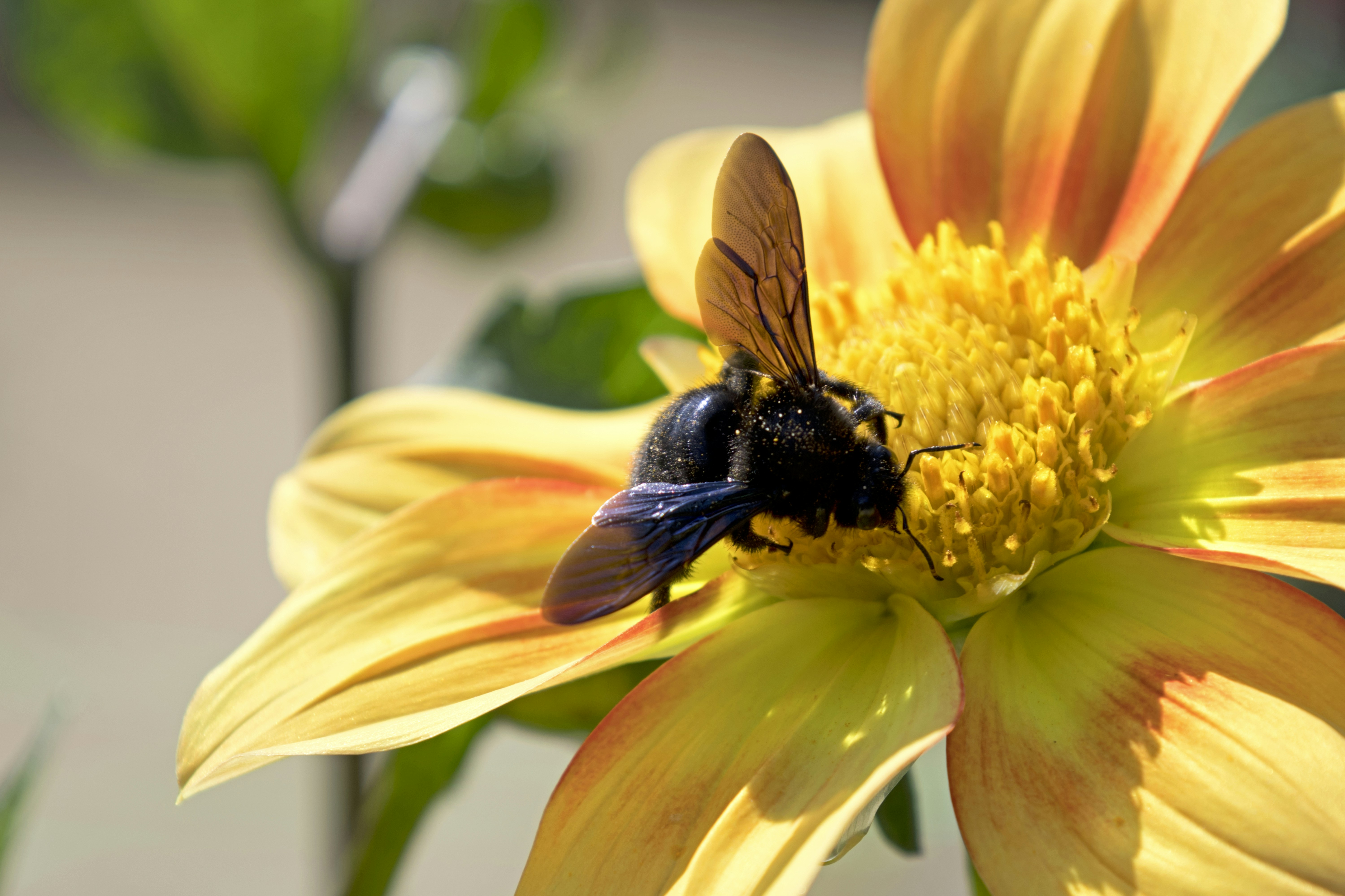 Photo by chrislinnett