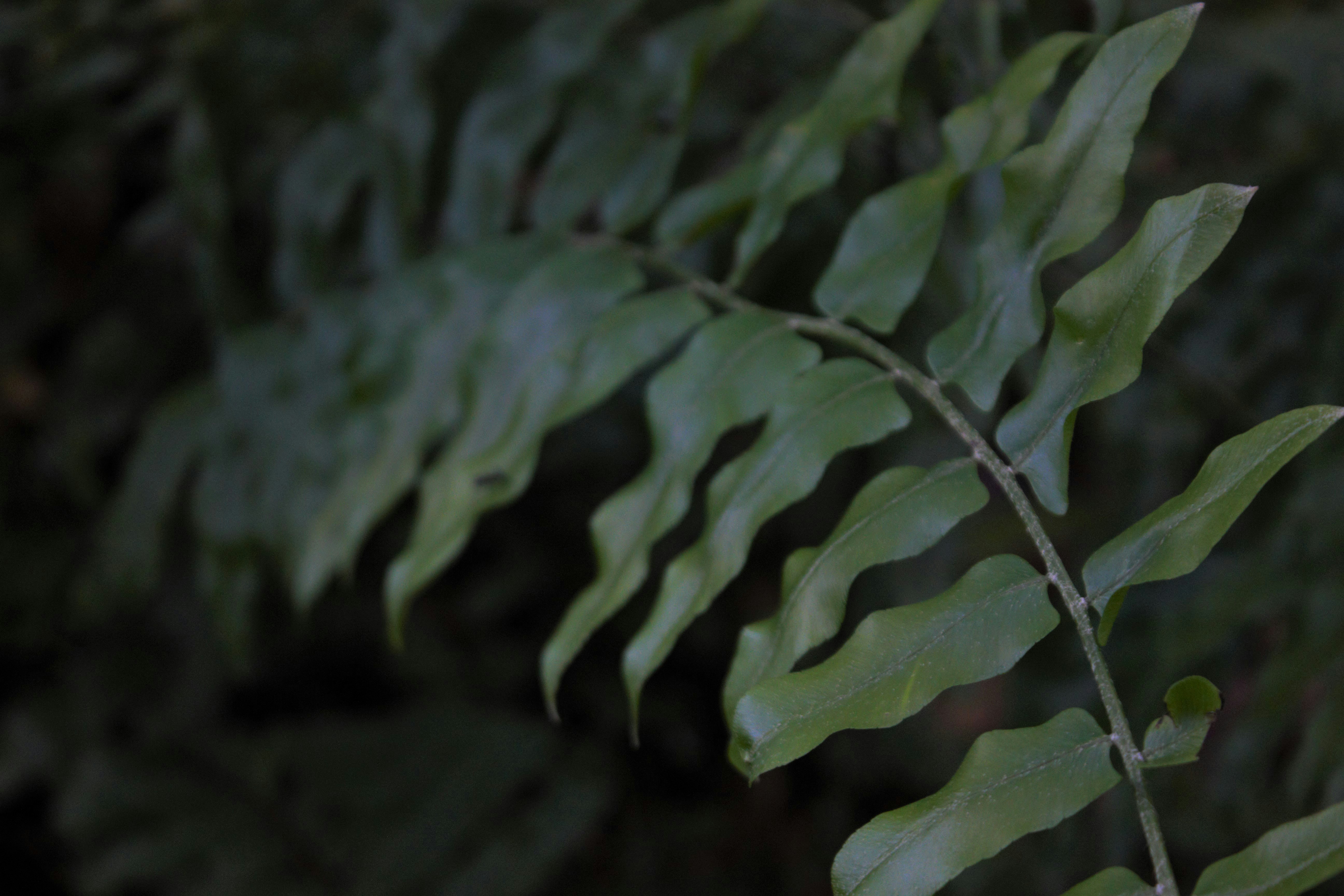 Photo by cindycreativeworks