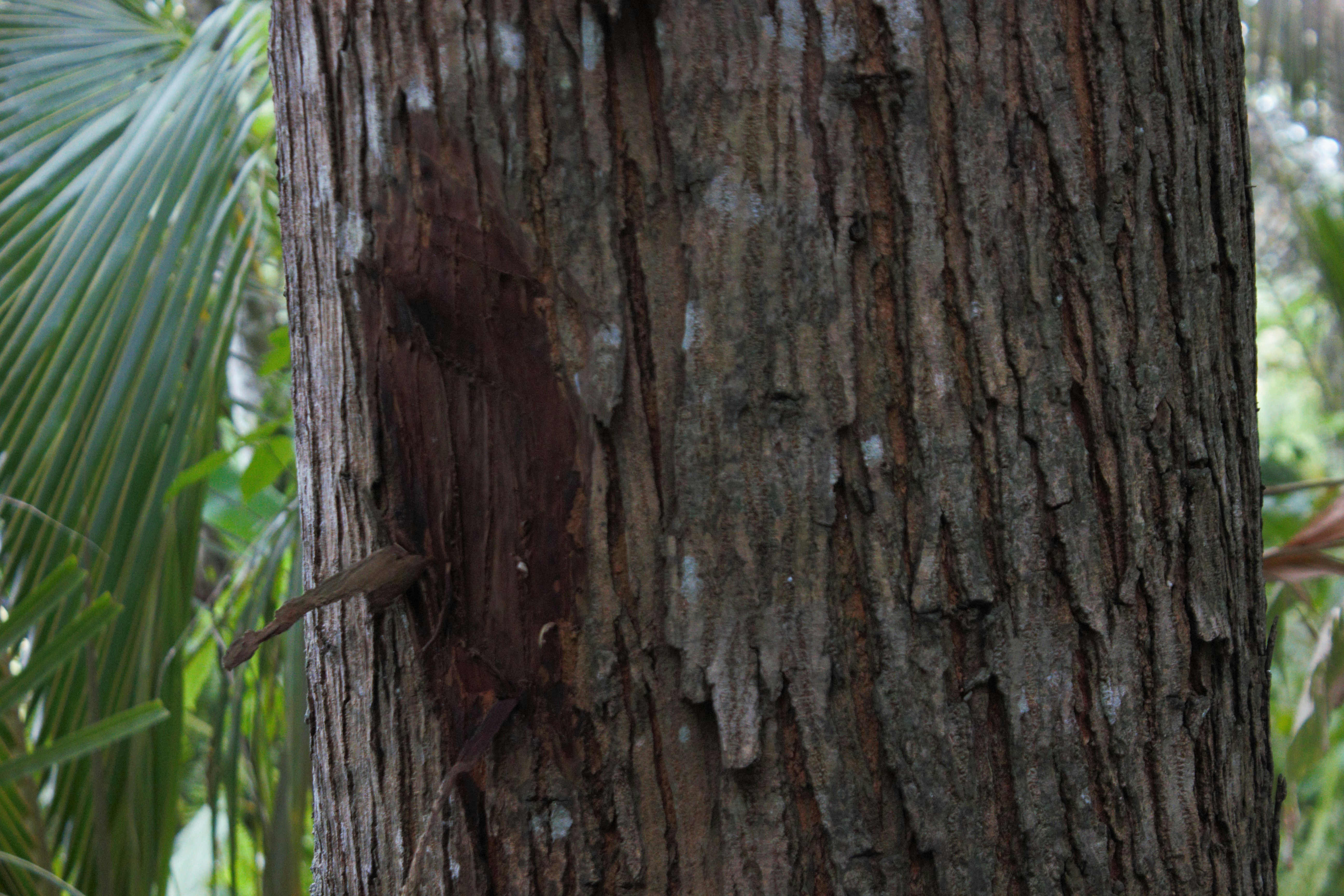 Photo by cindycreativeworks