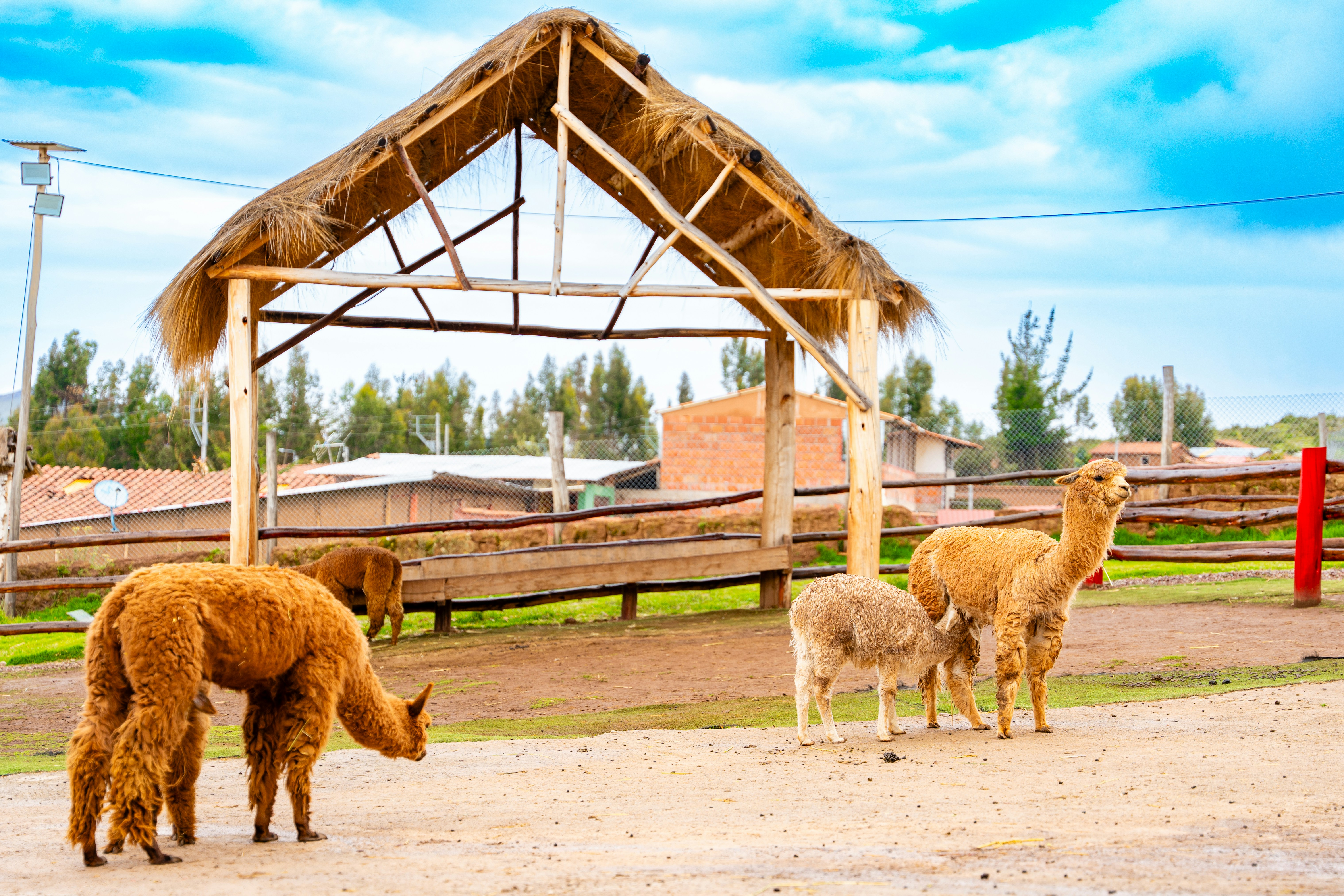 Parque y Centro Pastoral La Oroya