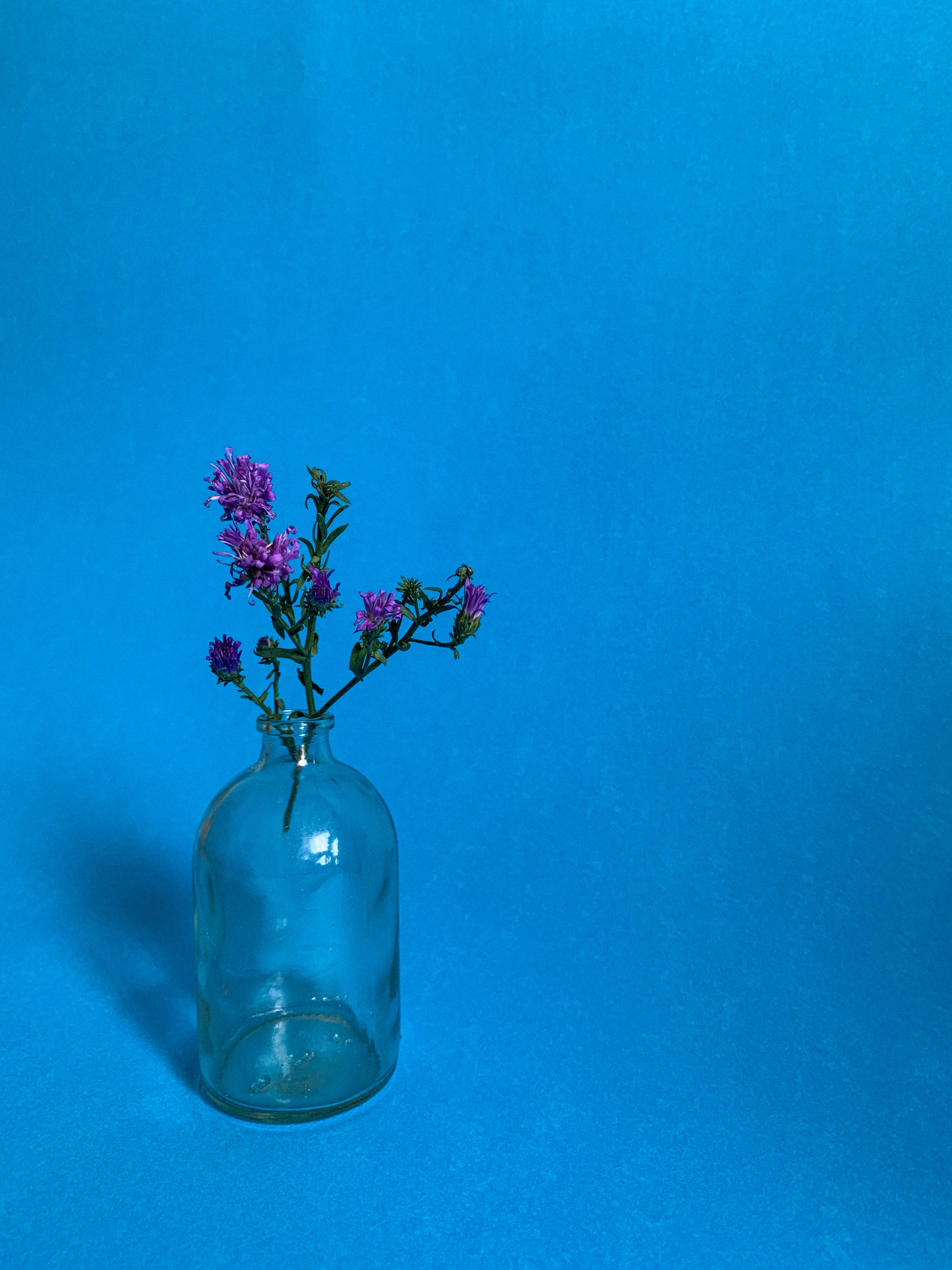 Photo by akshar_dave