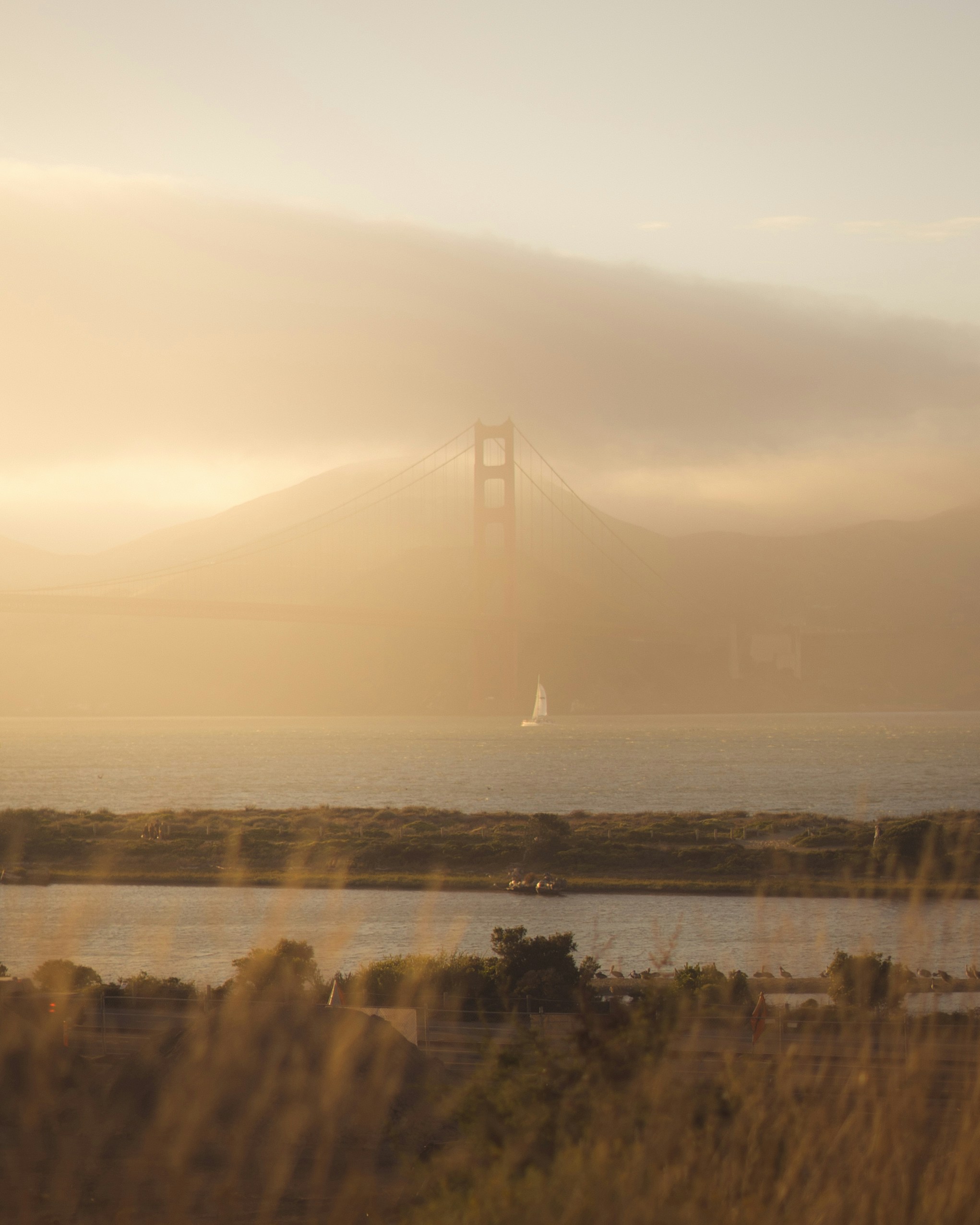 Photo by sharadmbhat