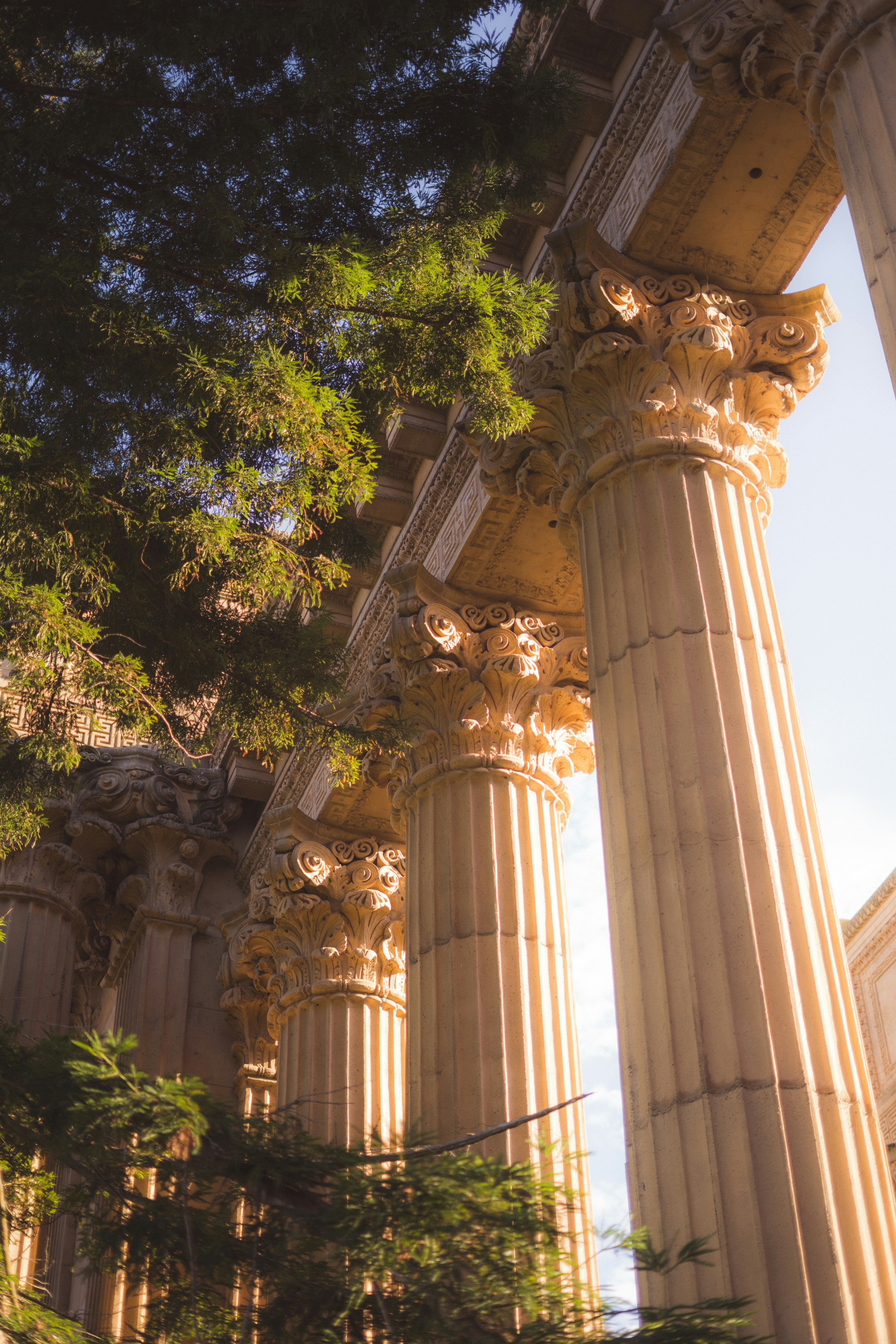 Photo by sharadmbhat