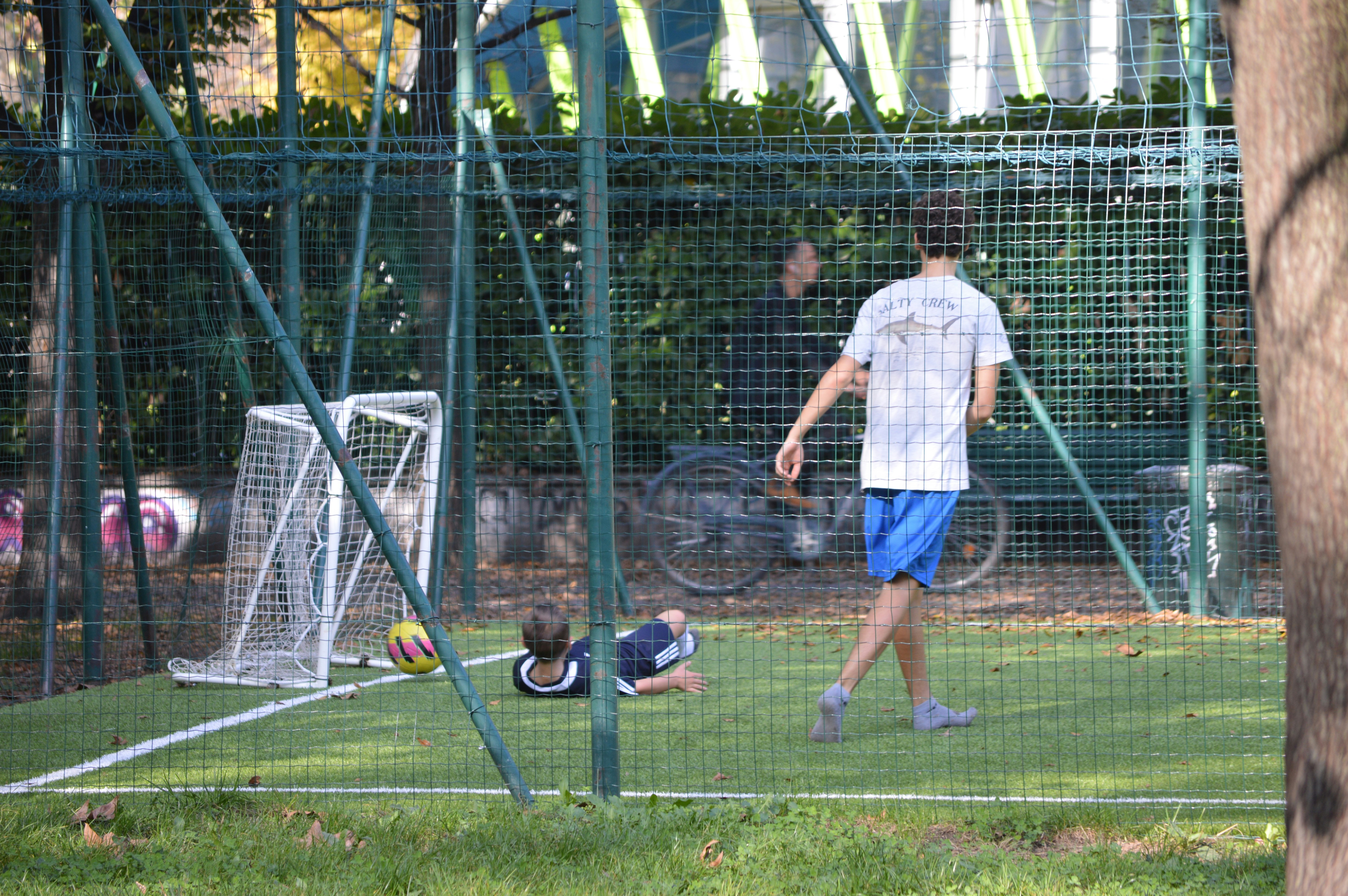 体育场景配图（资料示意）