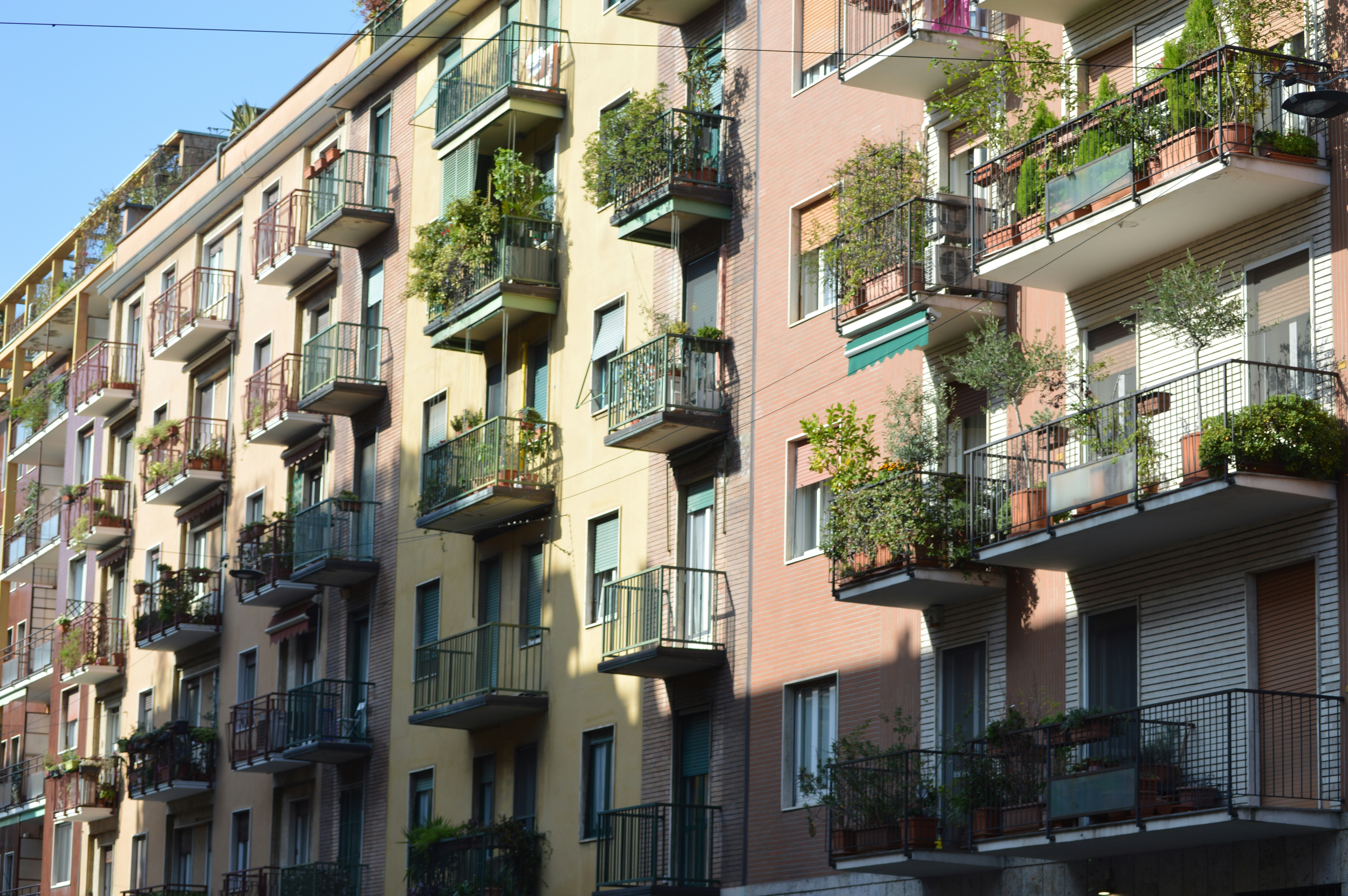 Photo by joshimilestoner