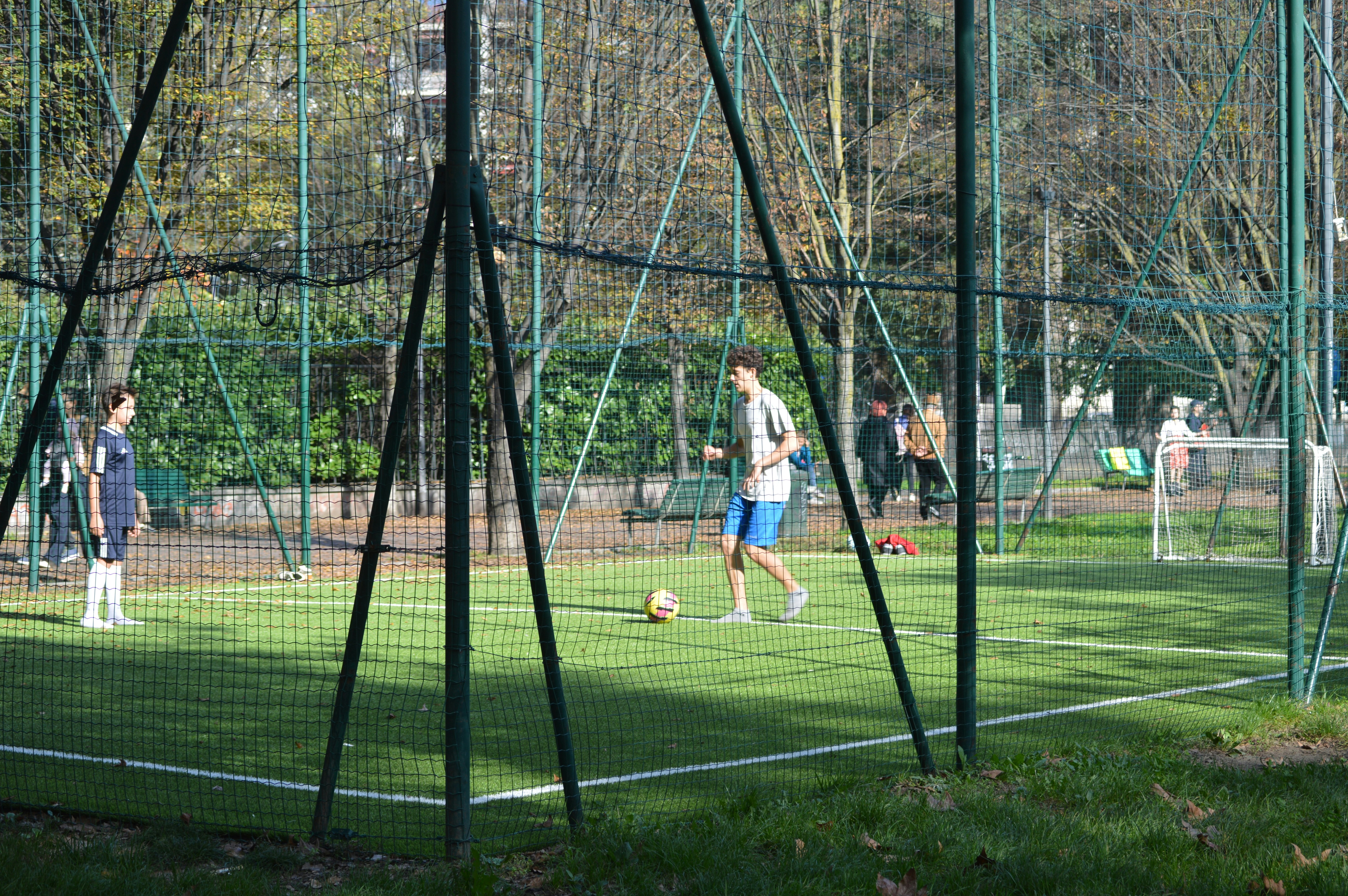 体育场景配图（资料示意）