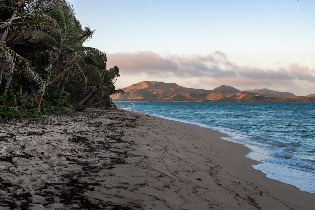 A sandy beach with palm trees on the shore,