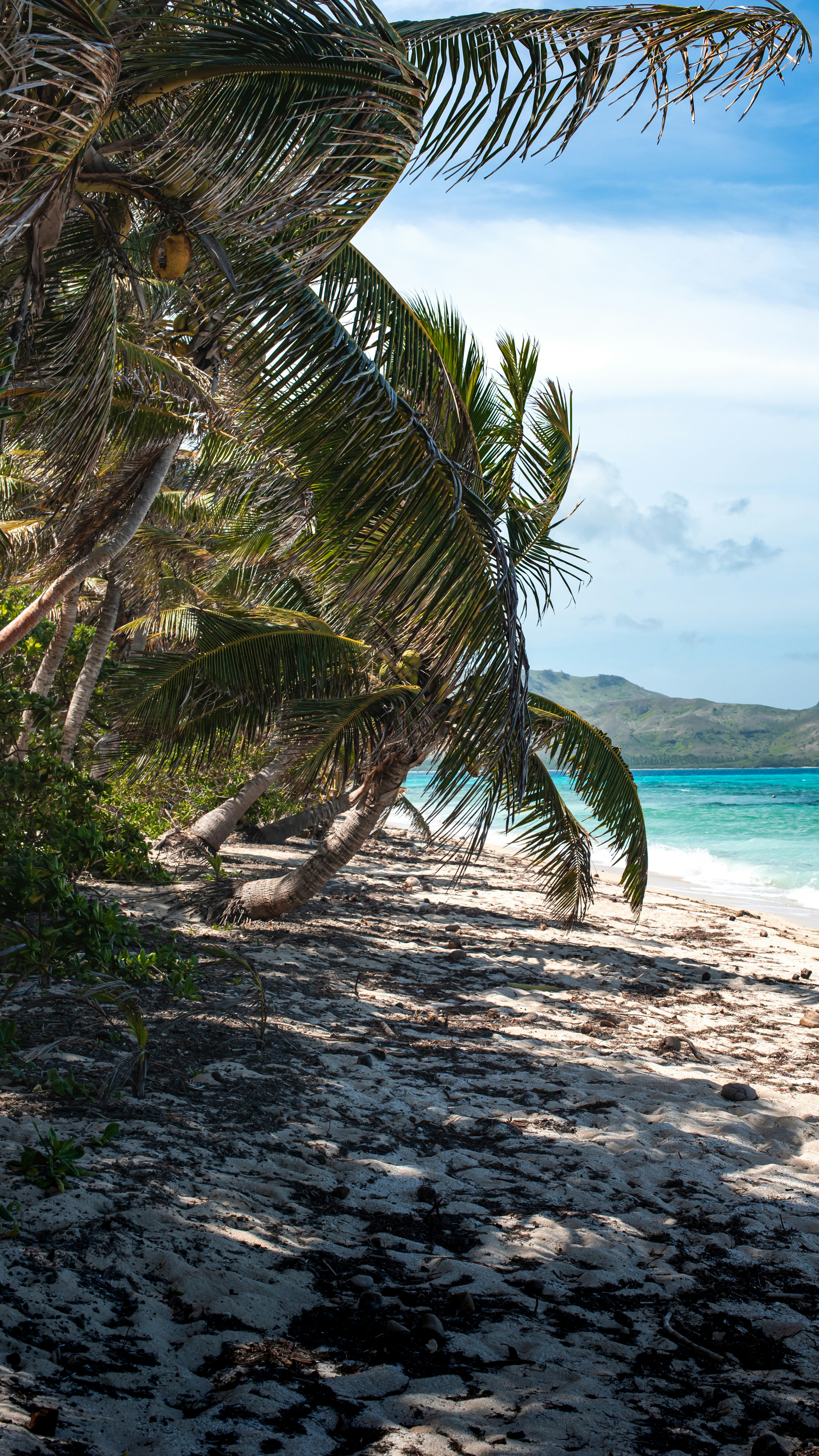 Photo by niktravelstheworld