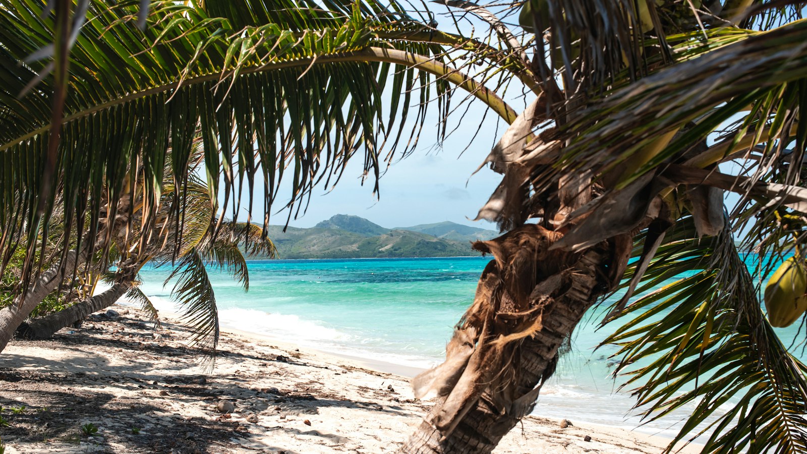 Palm fronds framing a white-sand beach and turquoise water with green hills beyond