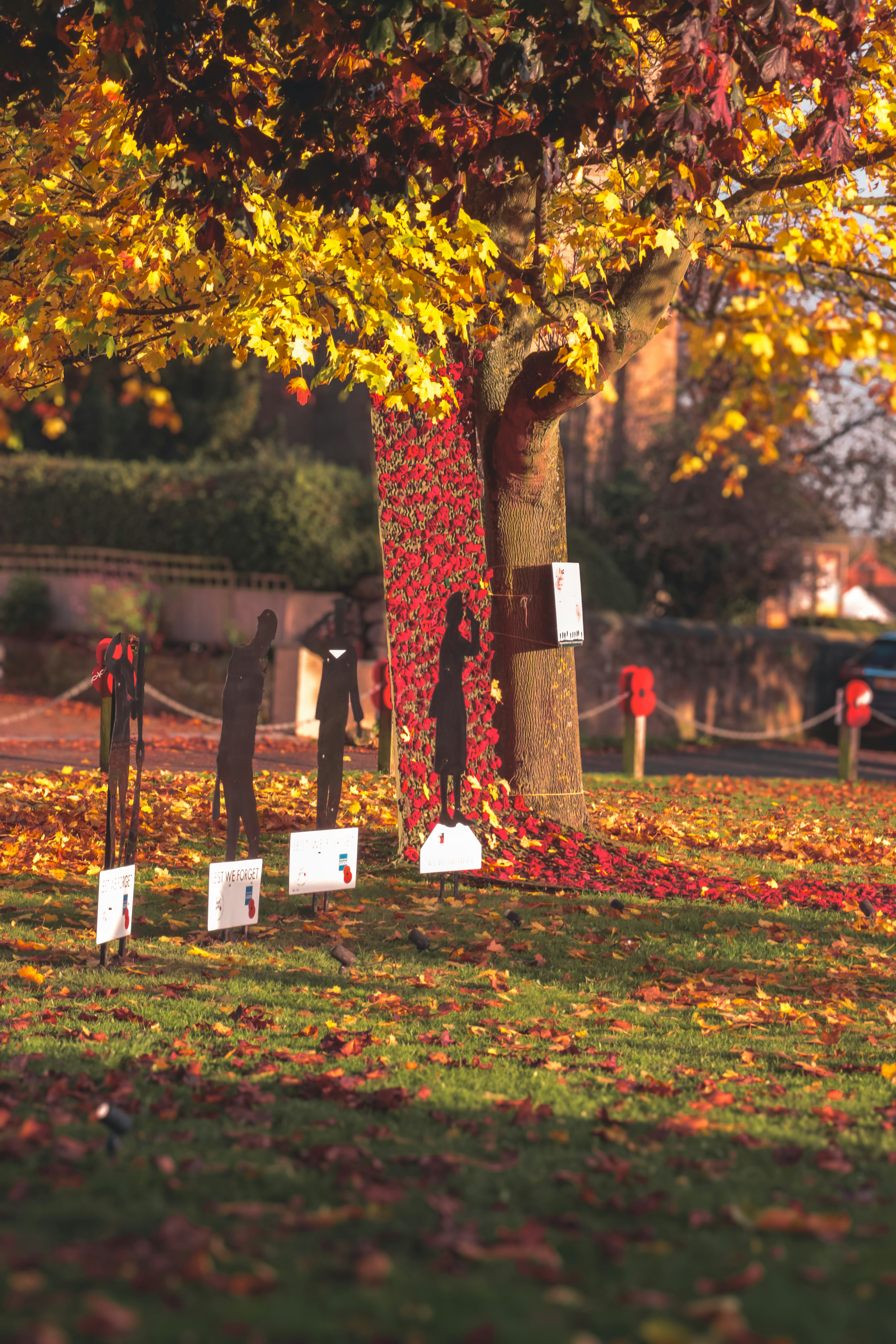 A tree with a lot of leaves on it
