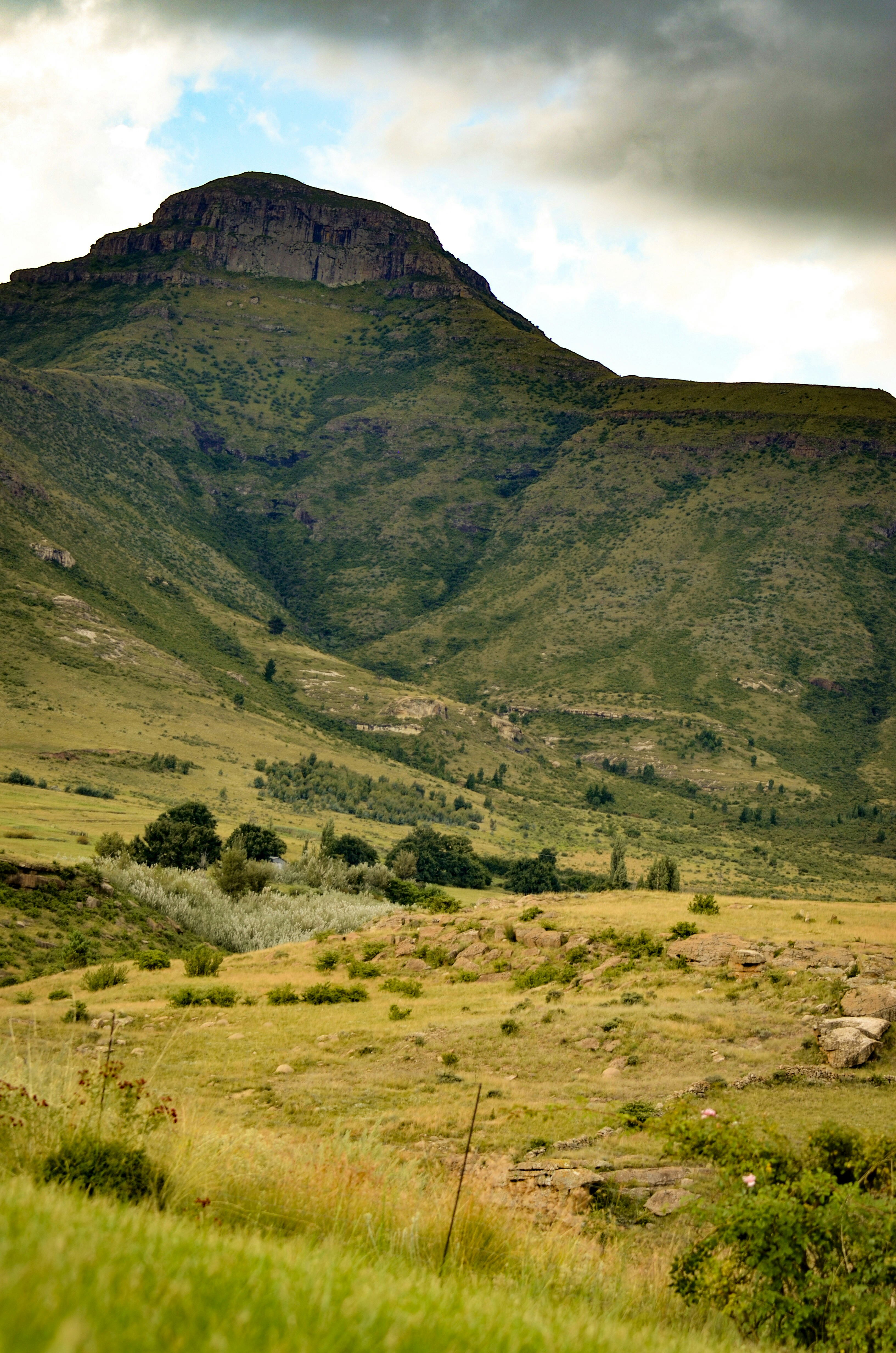 A grassy field with a mountain in the background