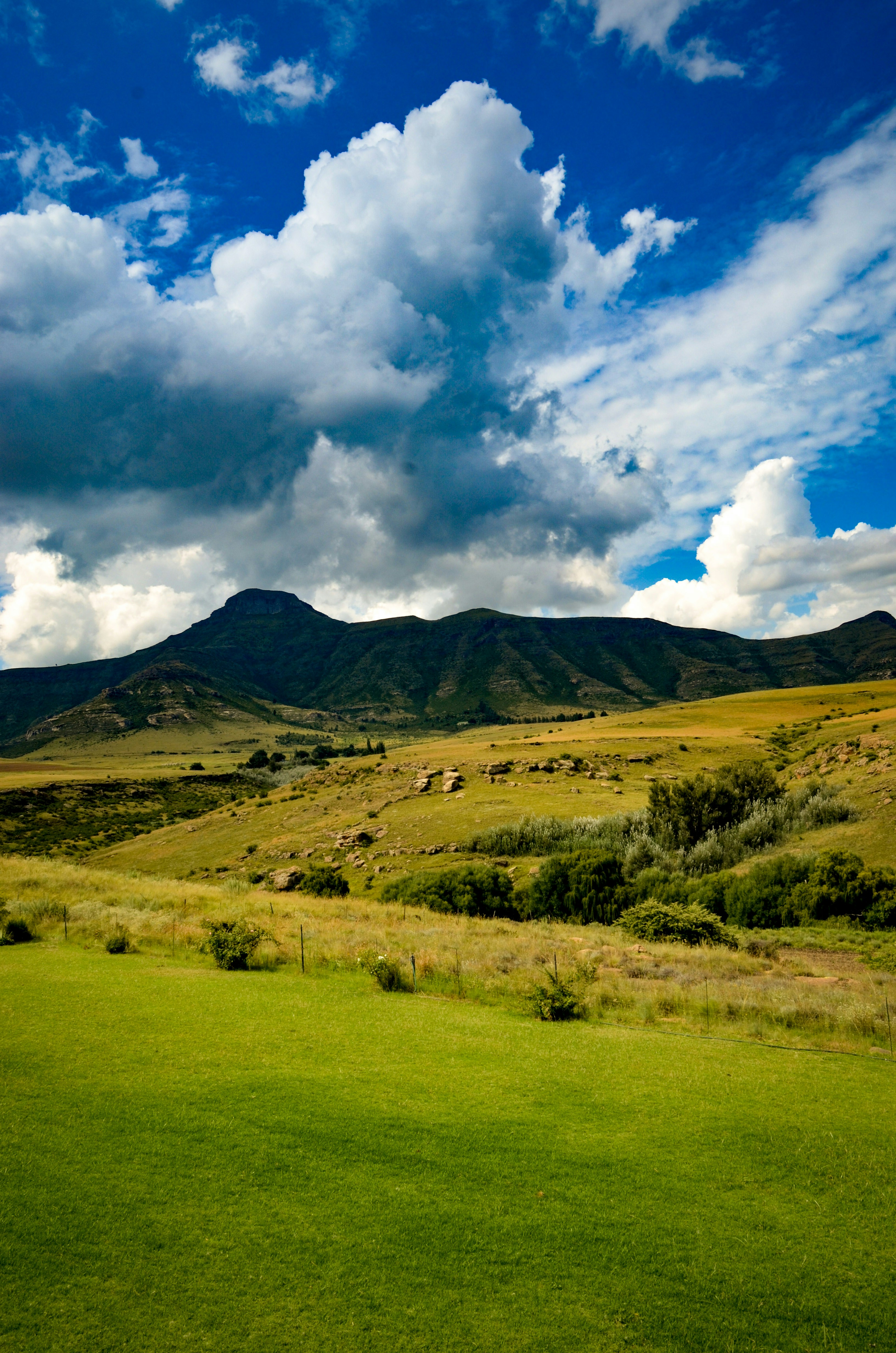 A green field with mountains in the background