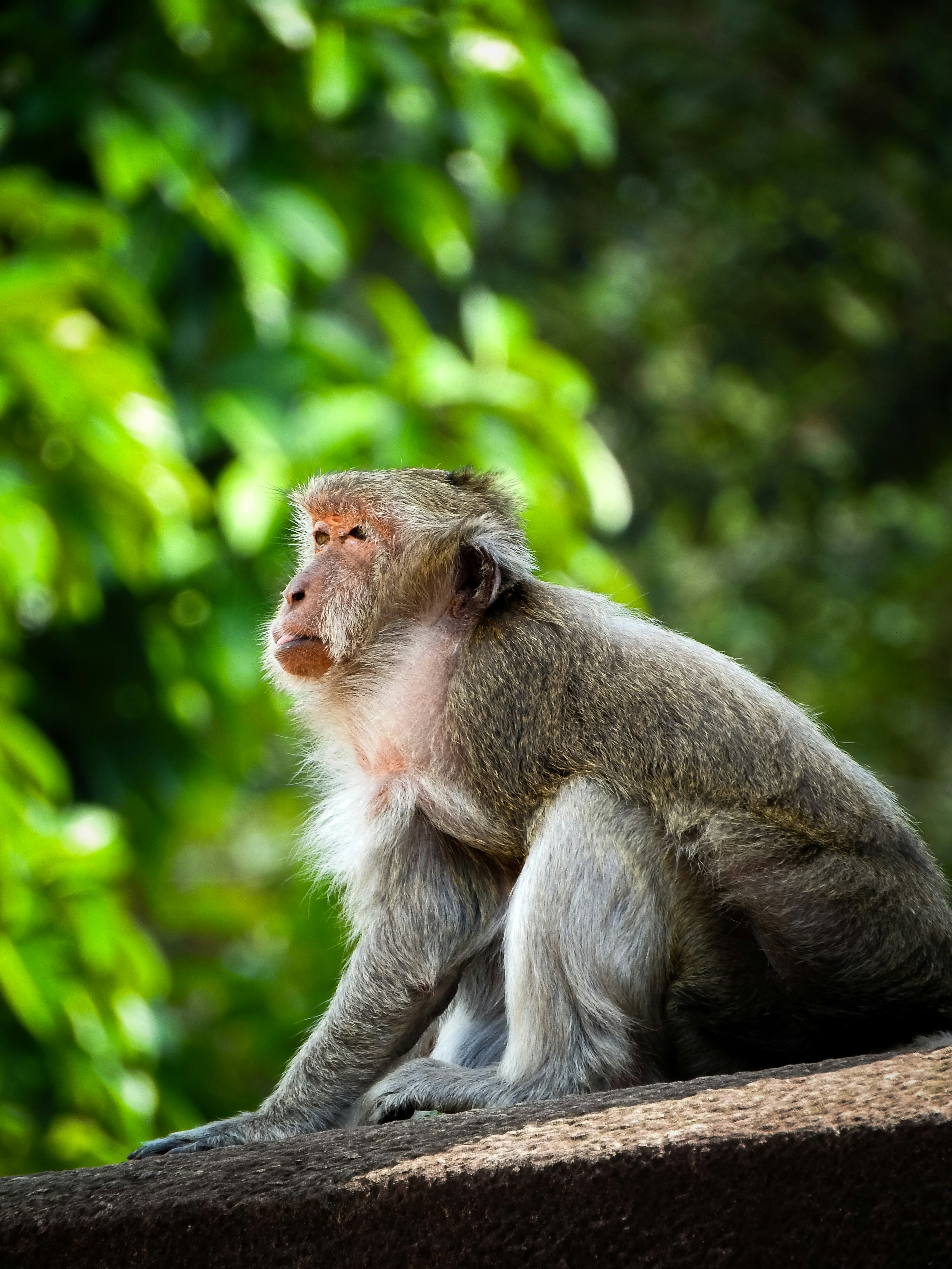 Photo by tomokiiwata