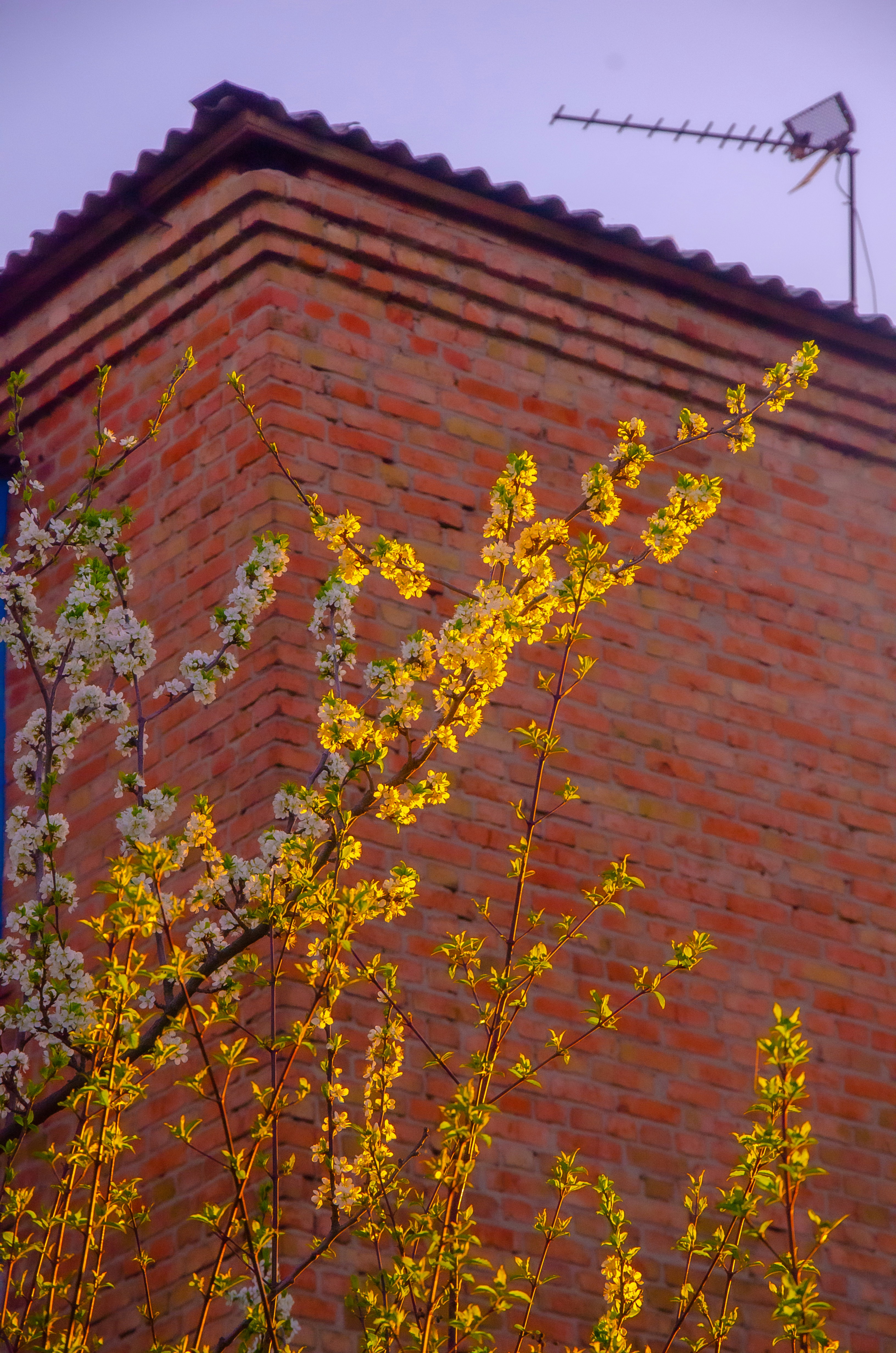 Photo by _florens_spenser_