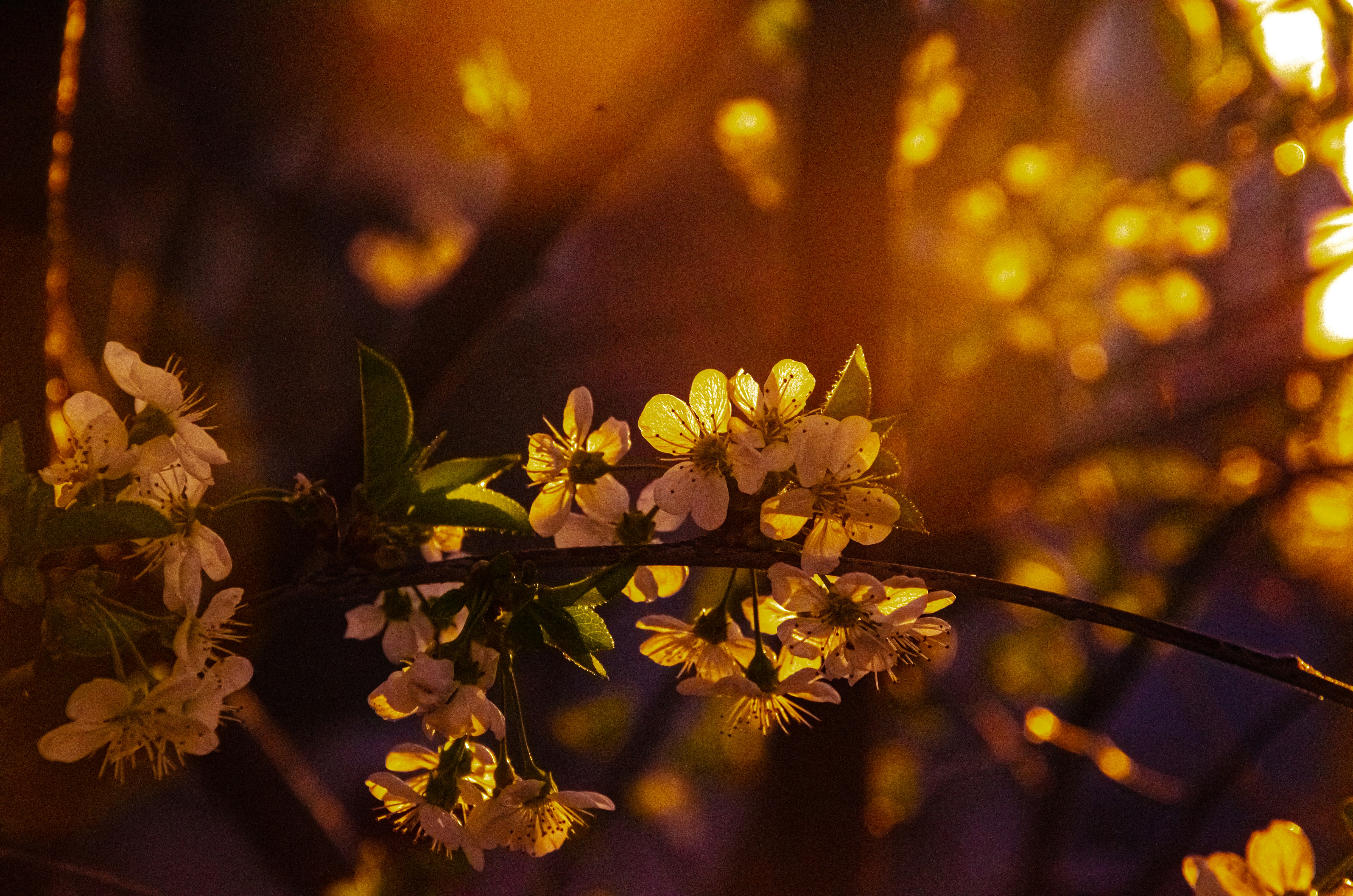 Photo by _florens_spenser_