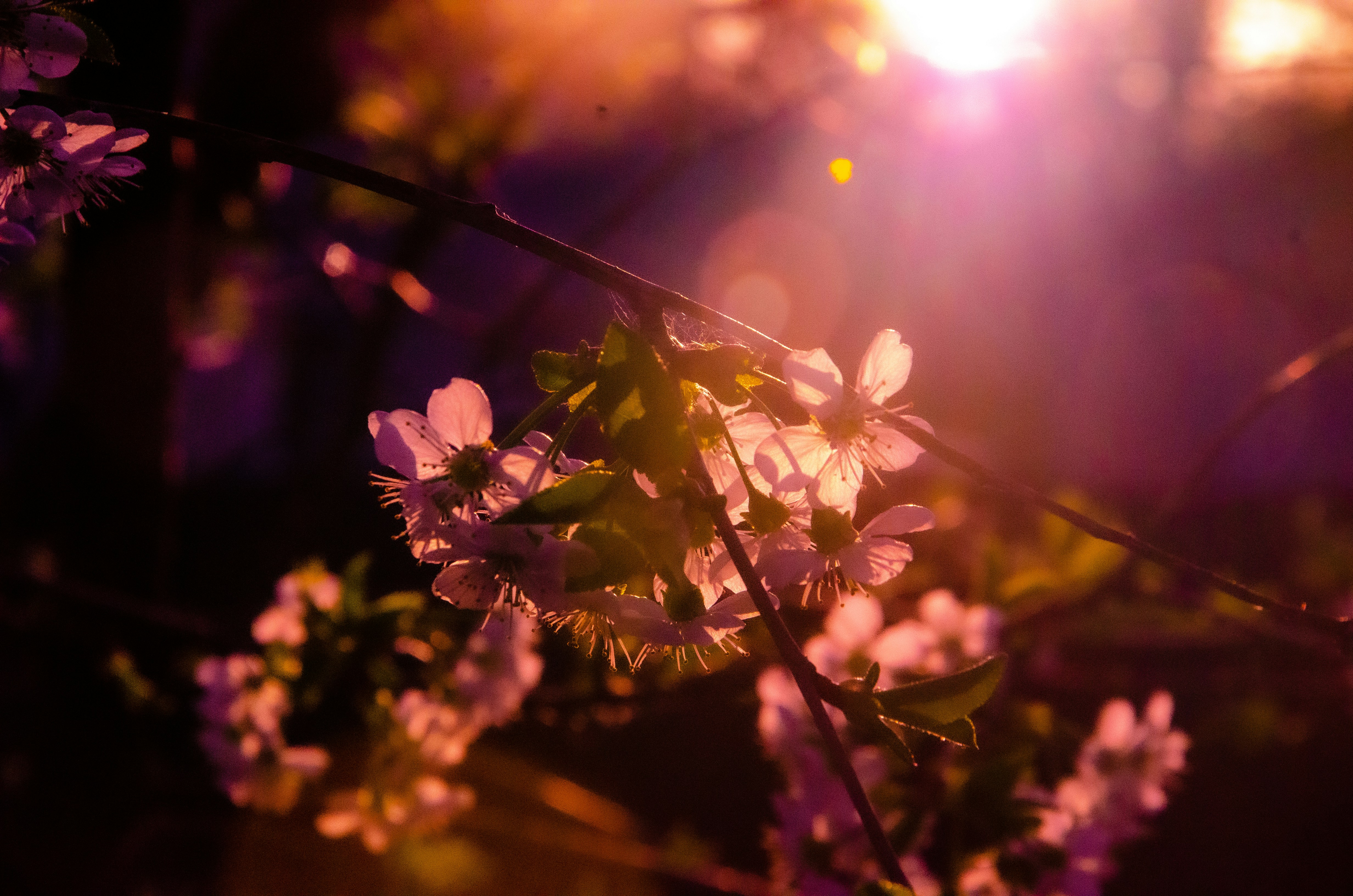 Photo by _florens_spenser_